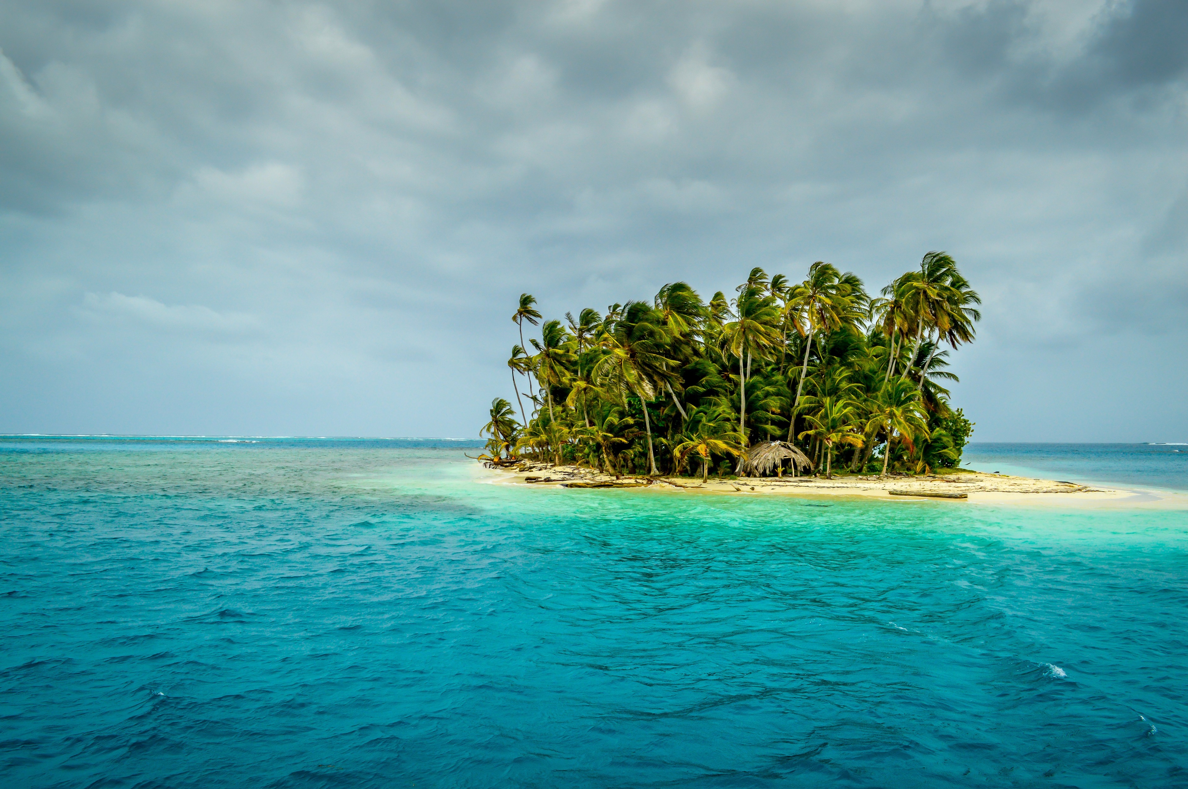 Island with palm trees and hut in turquoise water HD Wallpaper