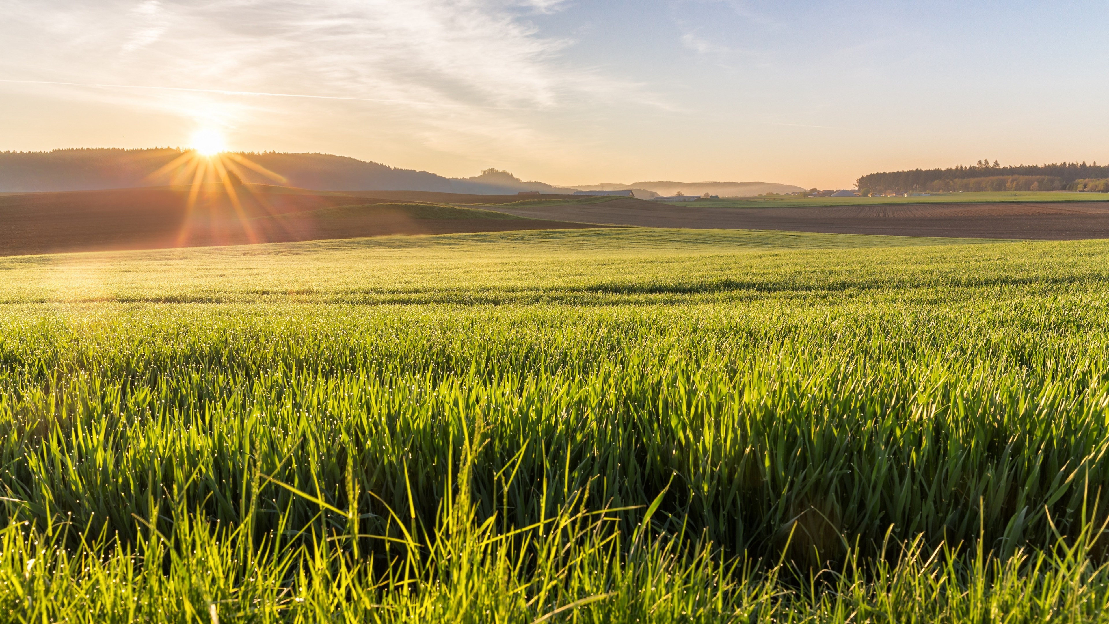 Sunrise over a green field HD Wallpaper