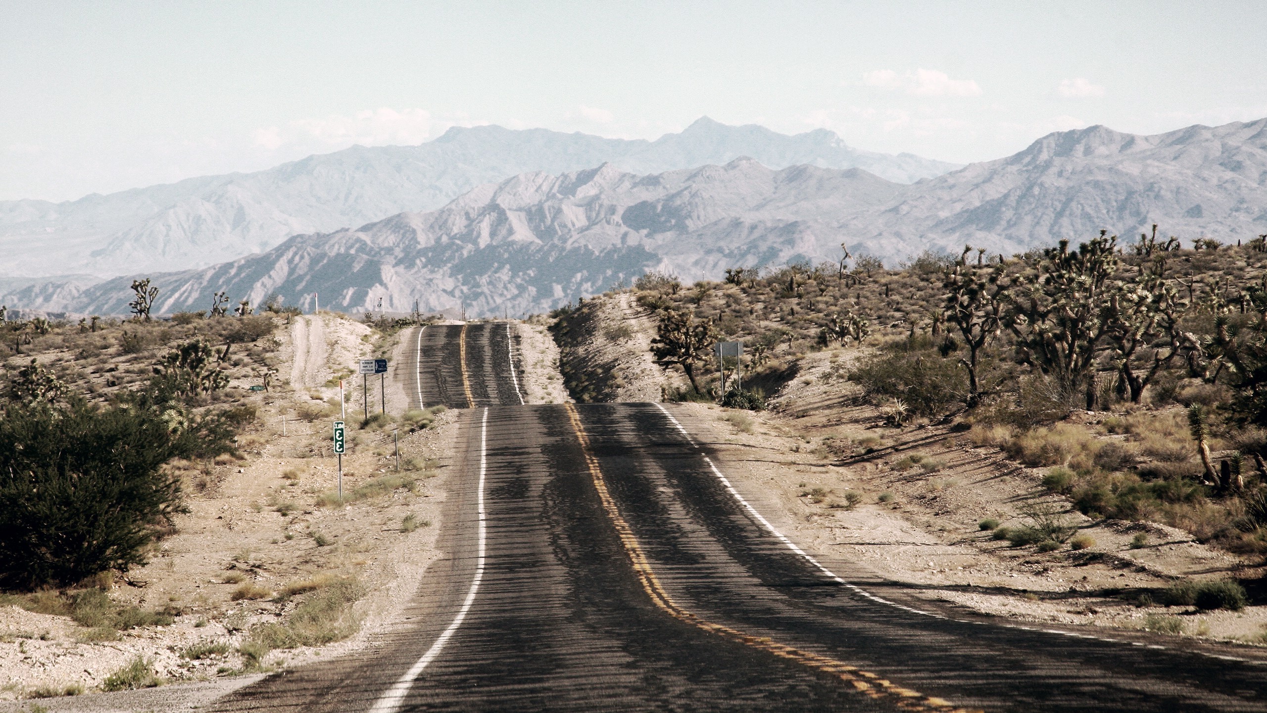 Desert road with Joshua trees and mountains HD Wallpaper