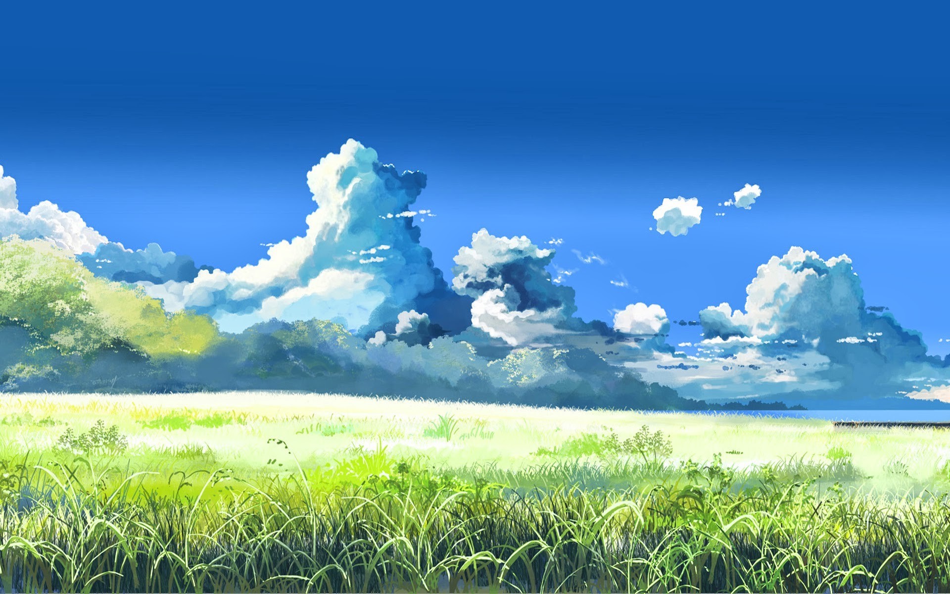 Field landscape with clouds and grass HD Wallpaper