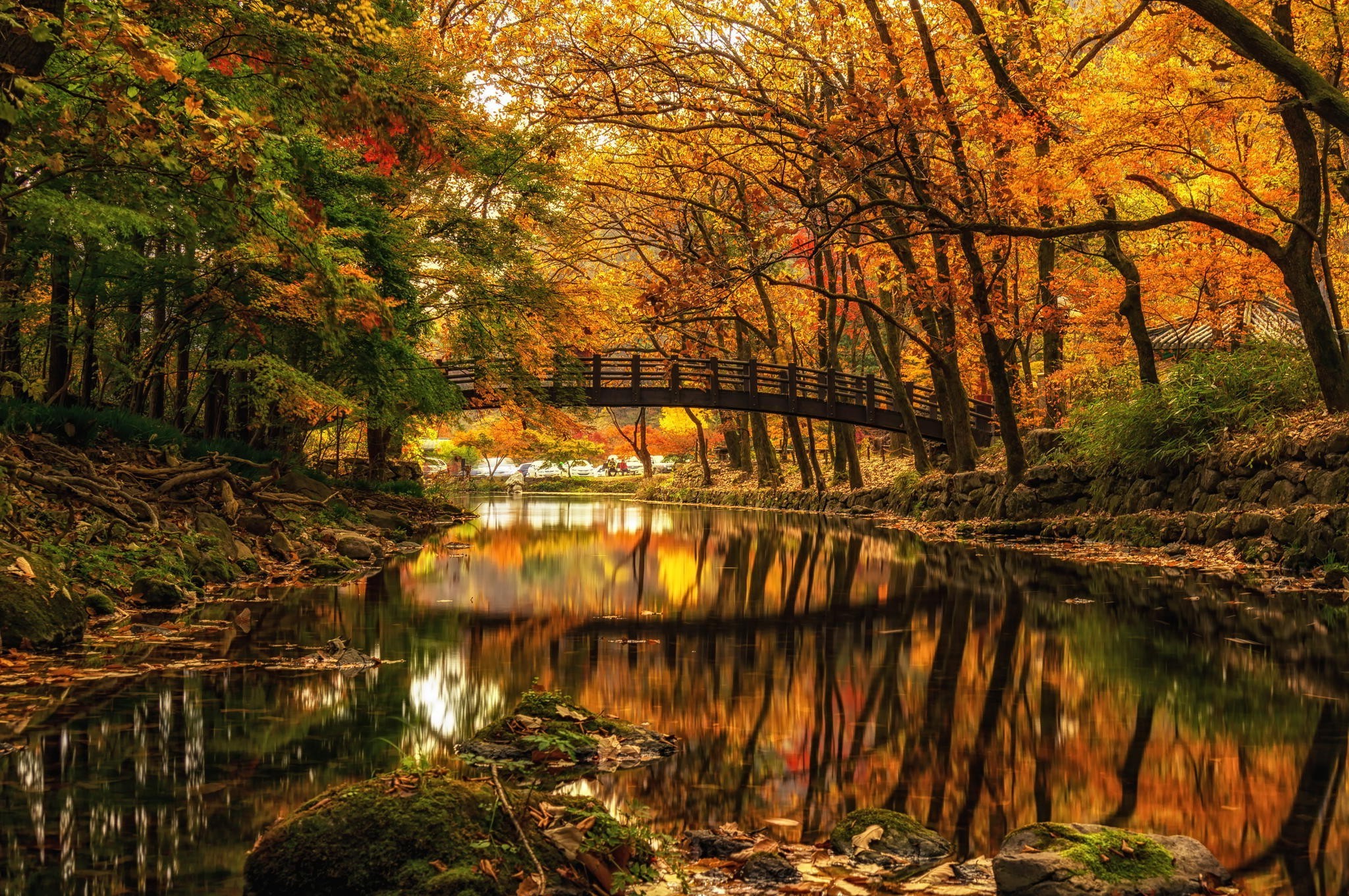 Autumn forest with a bridge over a reflective river HD Wallpaper