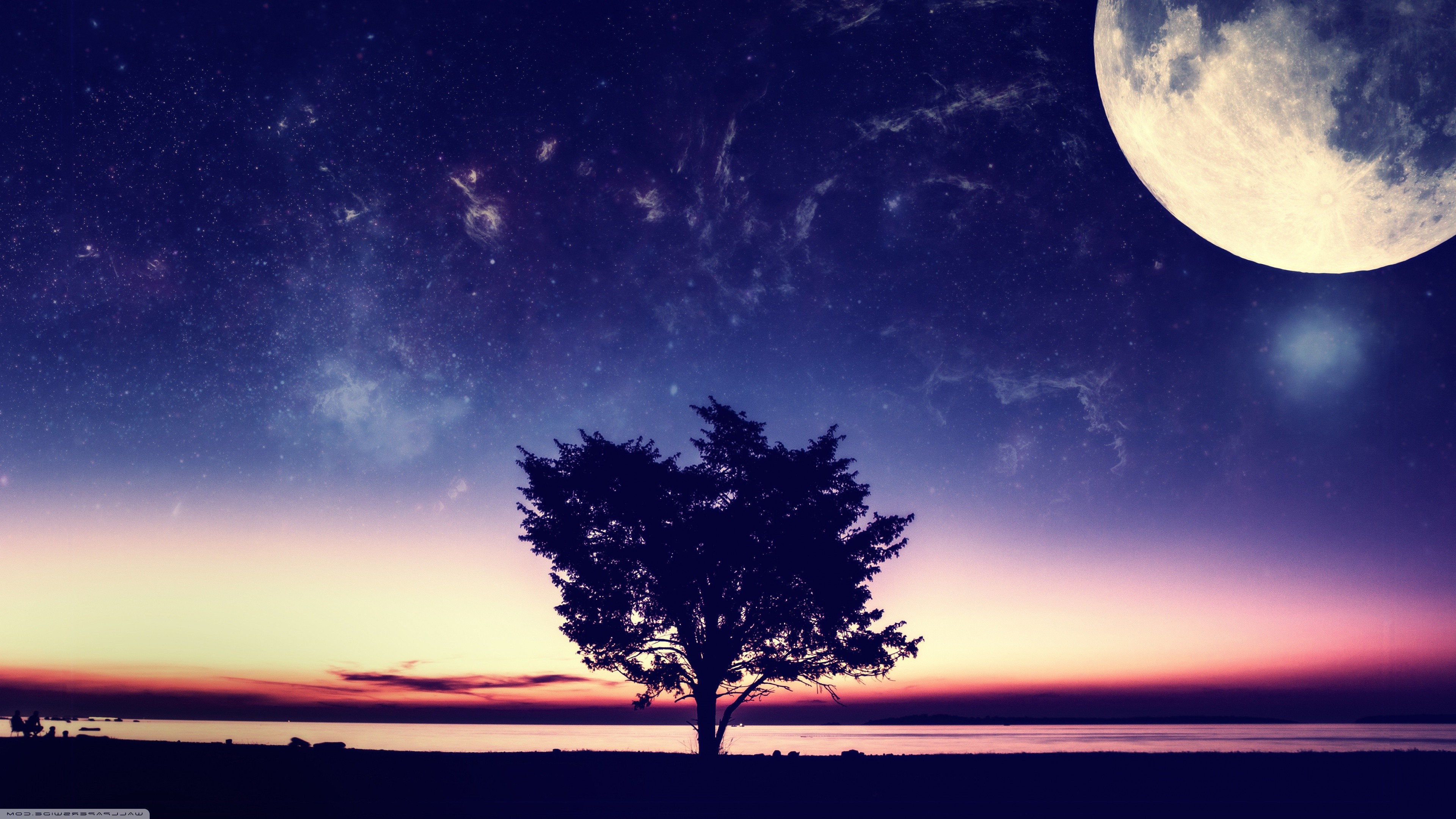 Silhouette of a tree under a starry night sky with a large moon HD Wallpaper