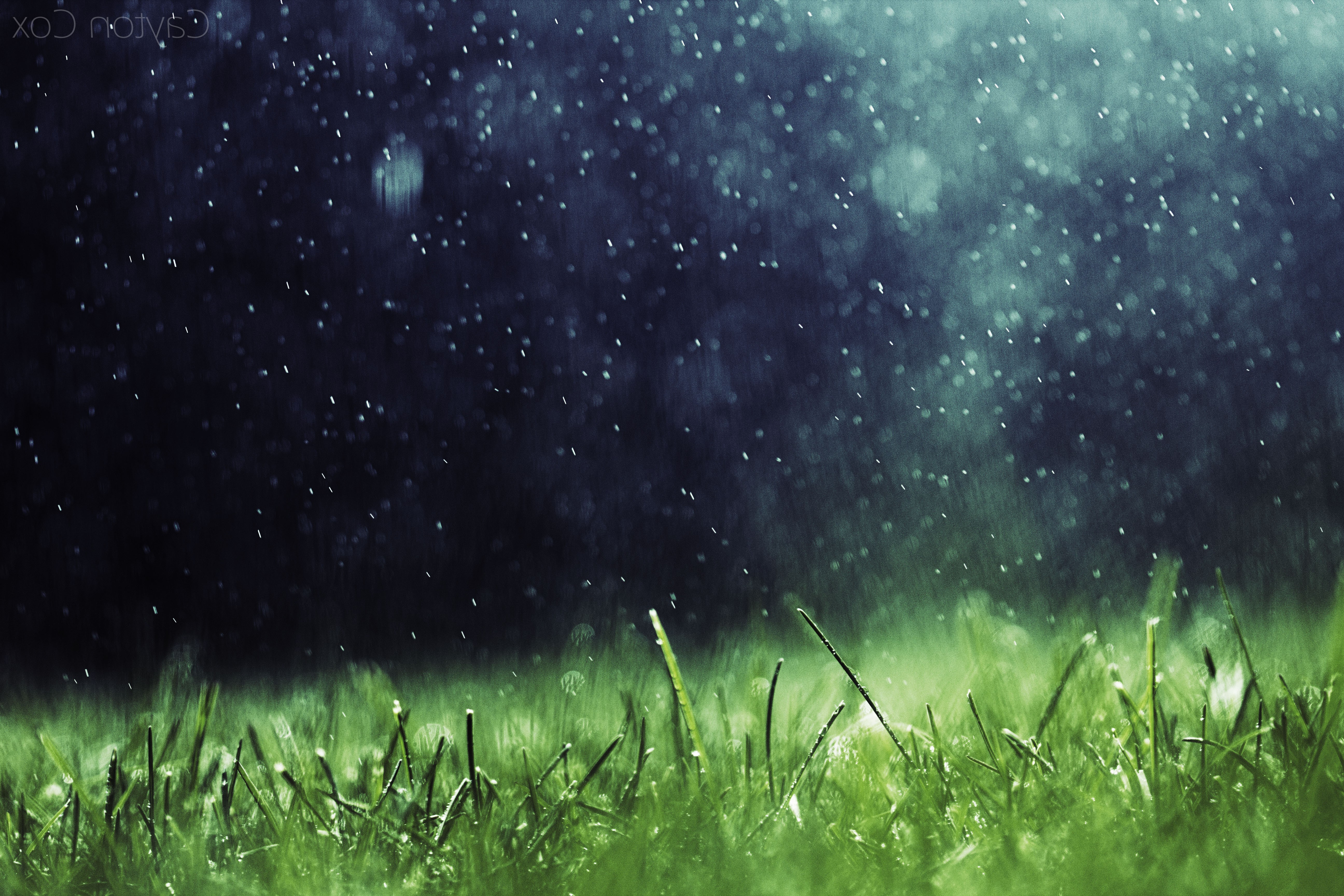 Rain falling on green grass HD Wallpaper