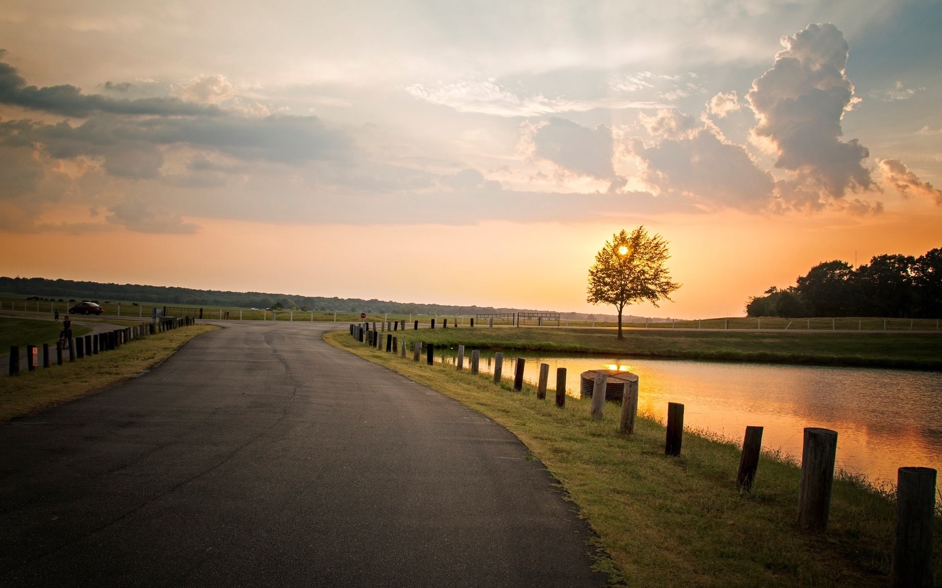 Road by a pond at sunset with a lone tree HD Wallpaper