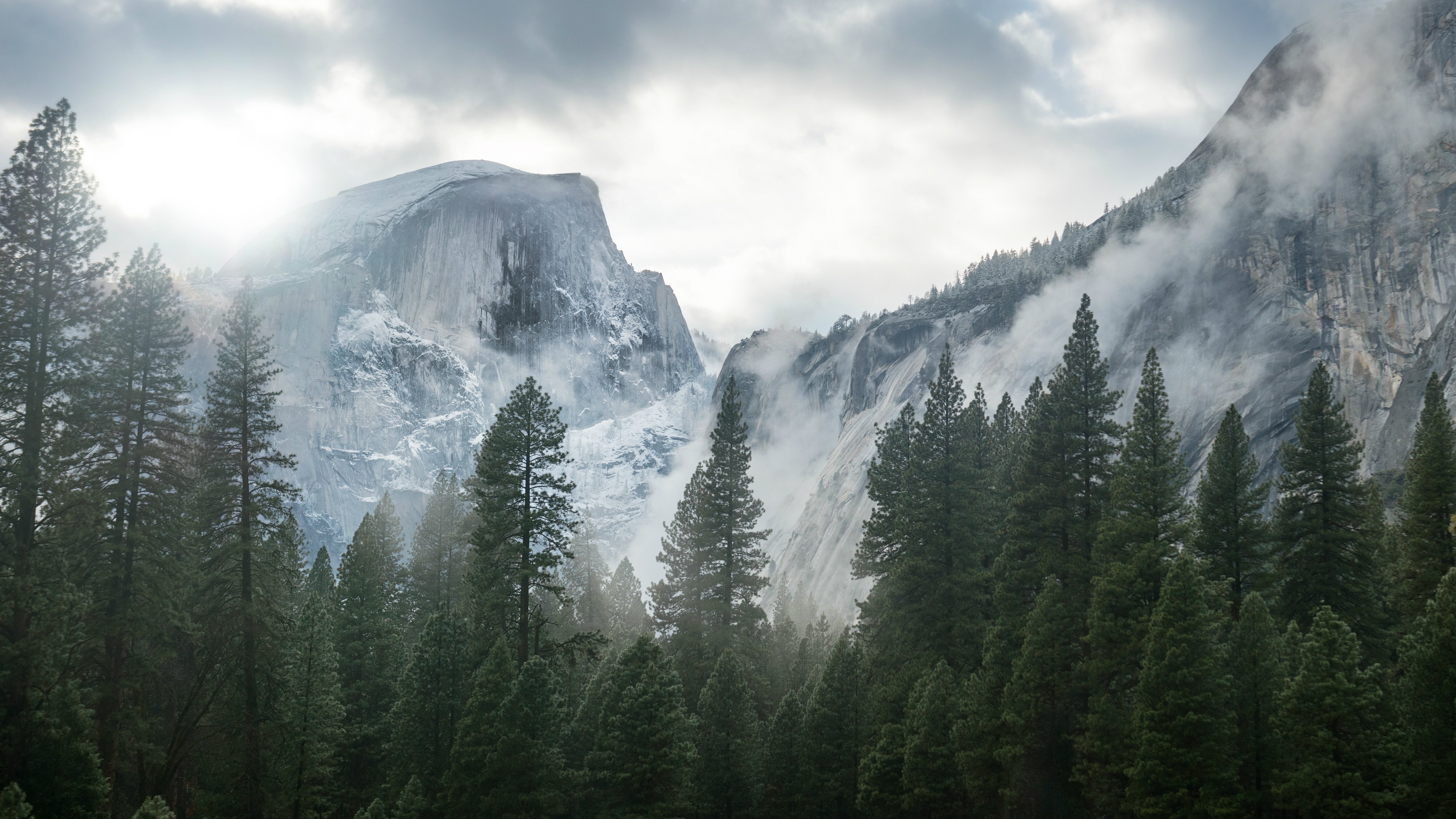 Yosemite National Park with Half Dome and pine trees HD Wallpaper