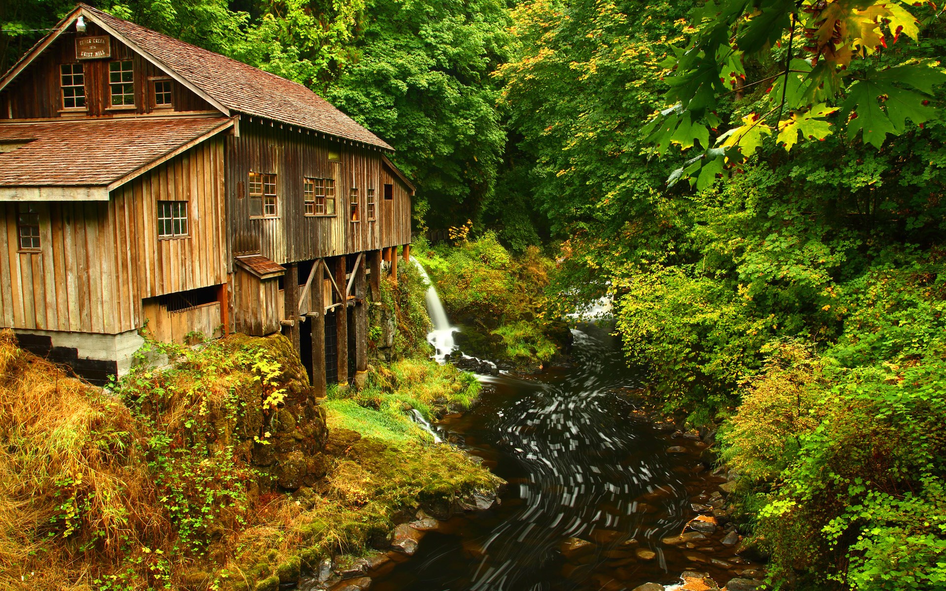 Old wooden mill beside a flowing stream in a forest HD Wallpaper