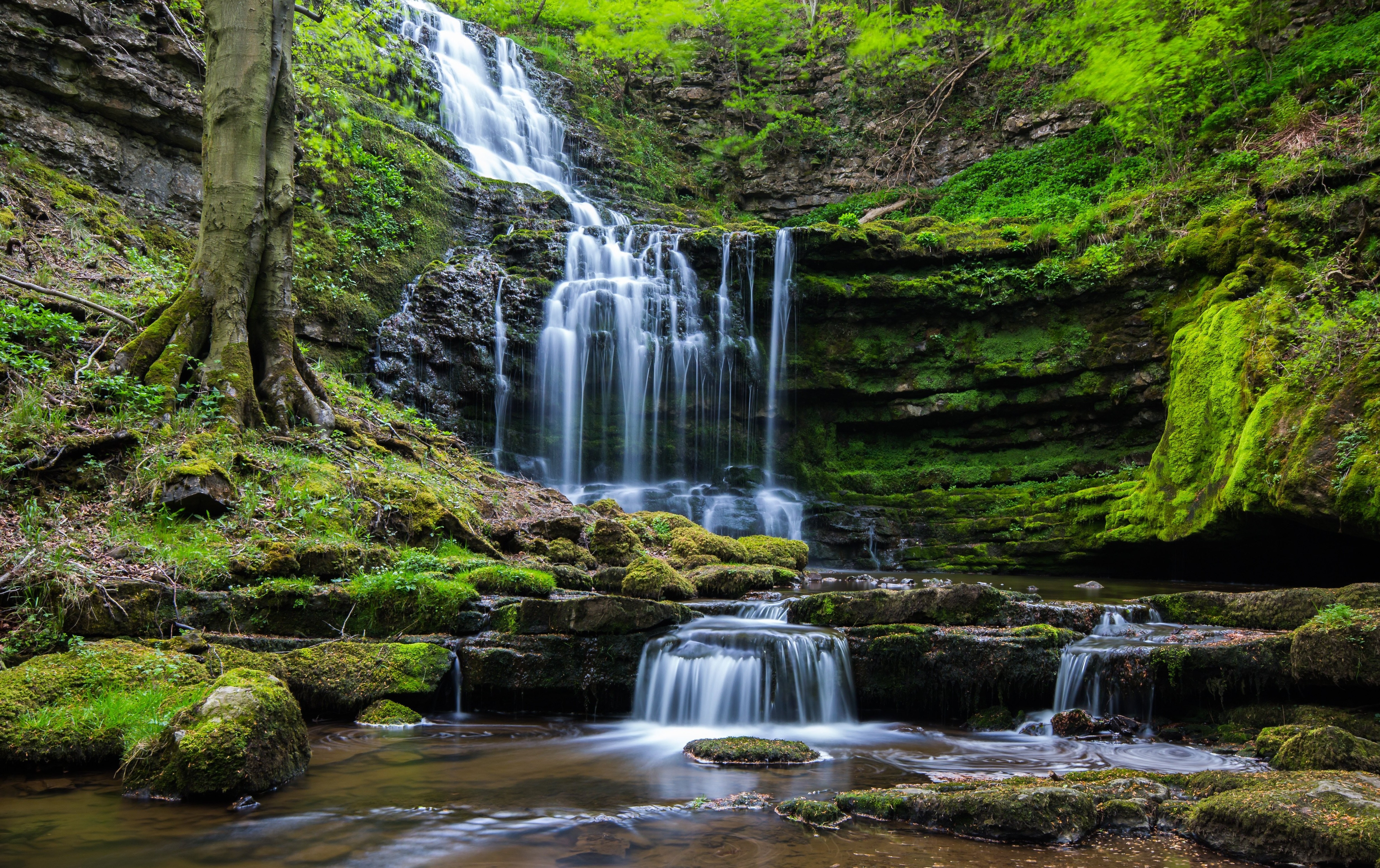 Waterfall in a green forest HD Wallpaper