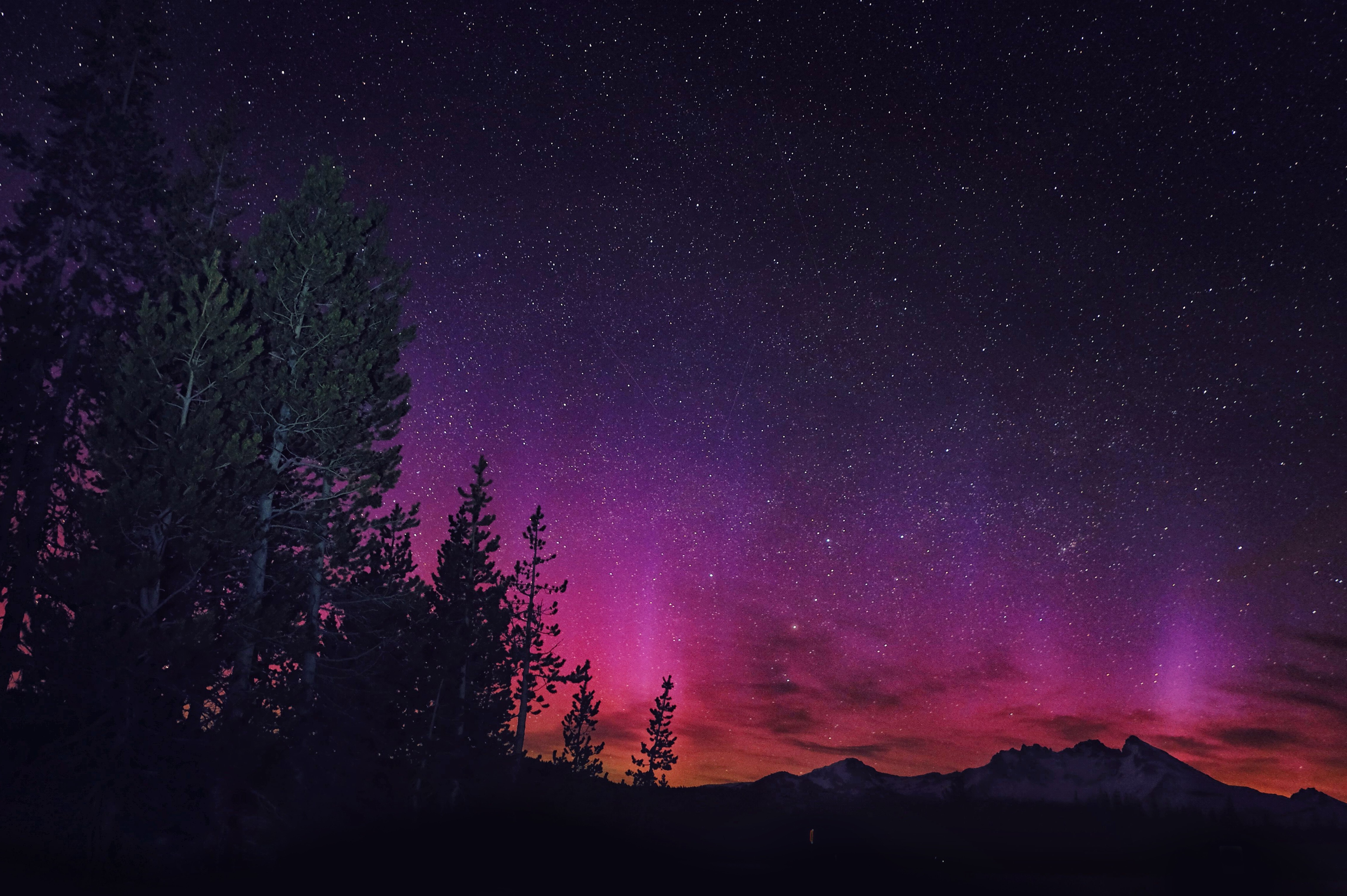 Starry Night Sky with Pink Aurora over Trees HD Wallpaper