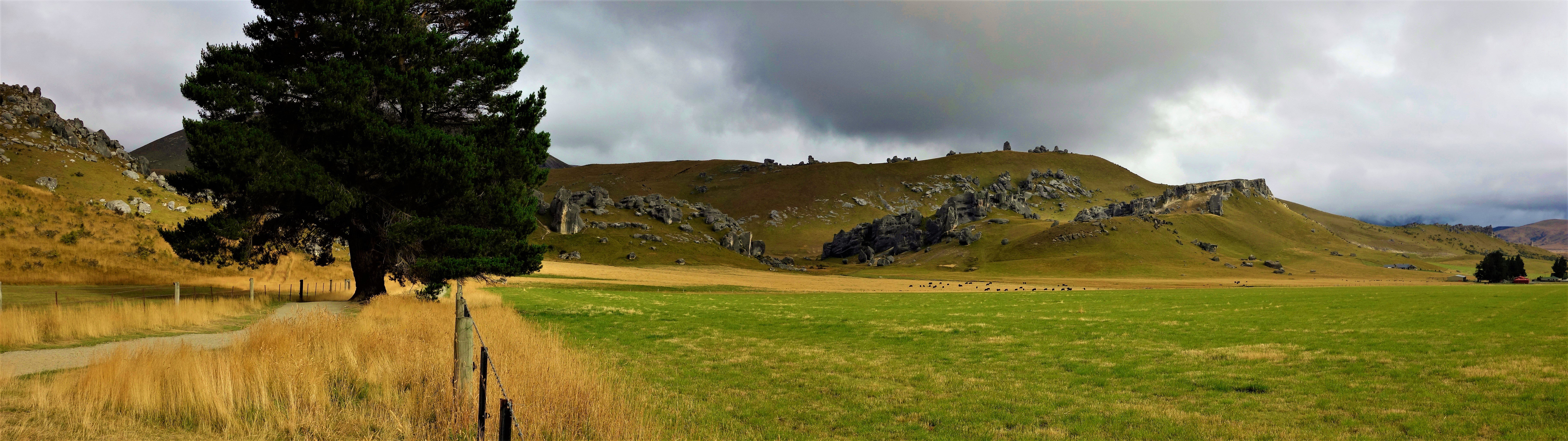 New Zealand landscape with rocky hills and trees HD Wallpaper