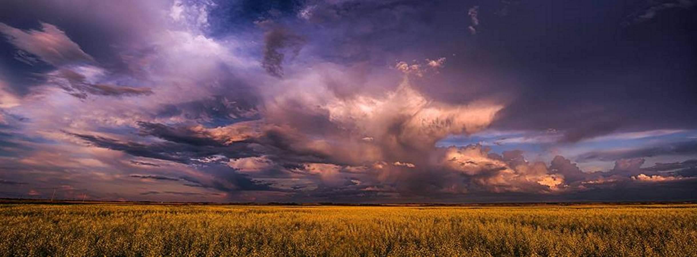 Stormy clouds over a golden prairie HD Wallpaper