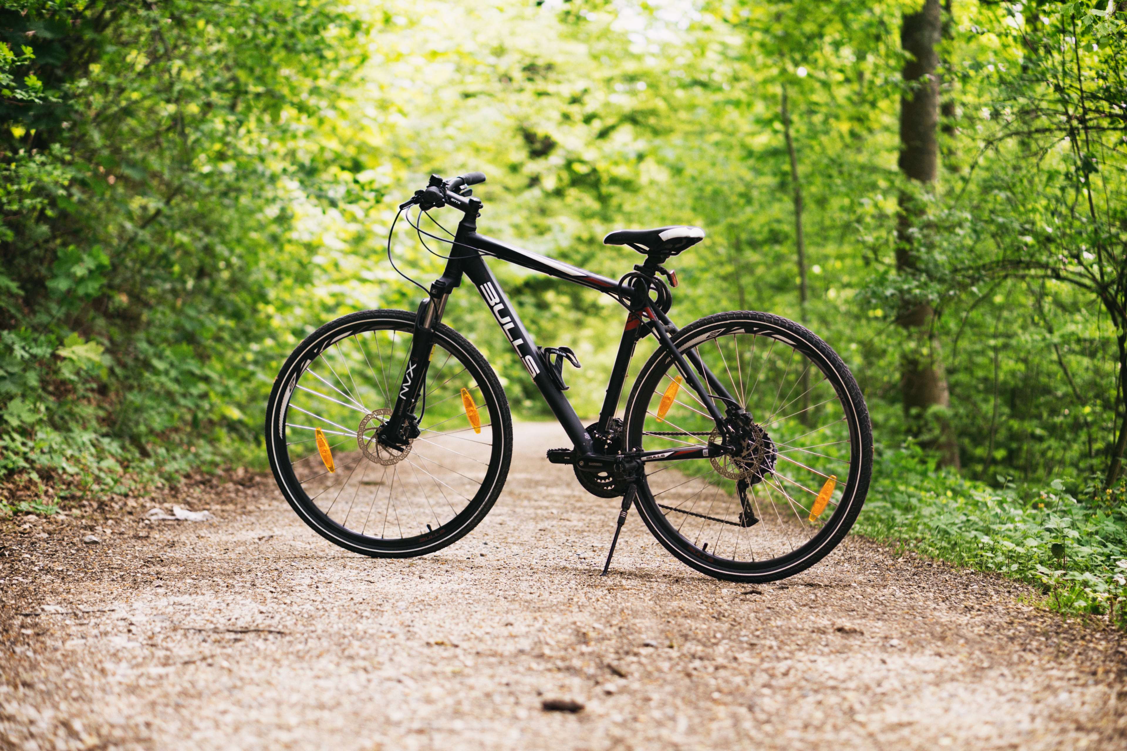 Bulls mountain bike on a forest path 4K HD Wallpaper
