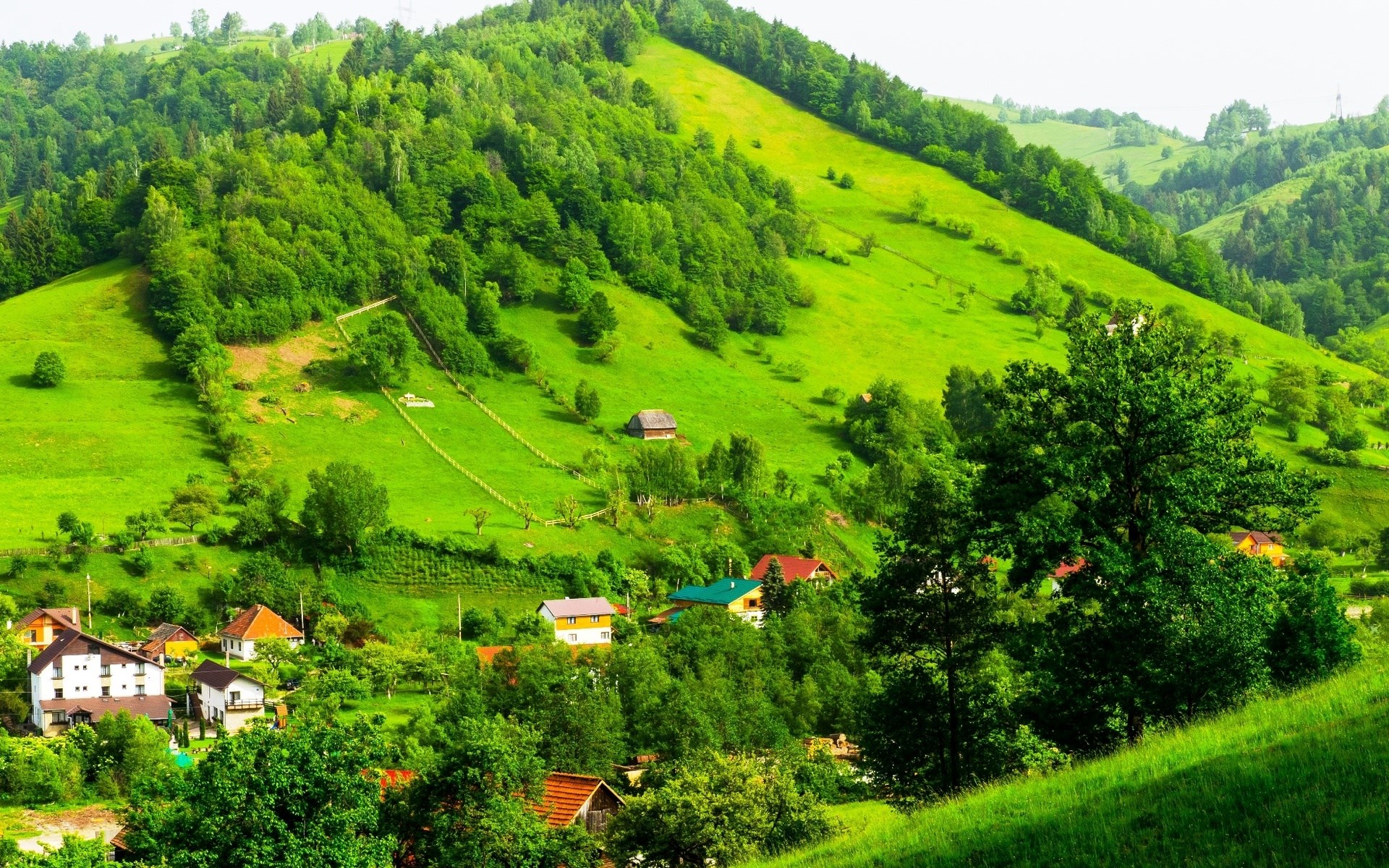 Green Rolling Hills with Houses and Trees HD Wallpaper