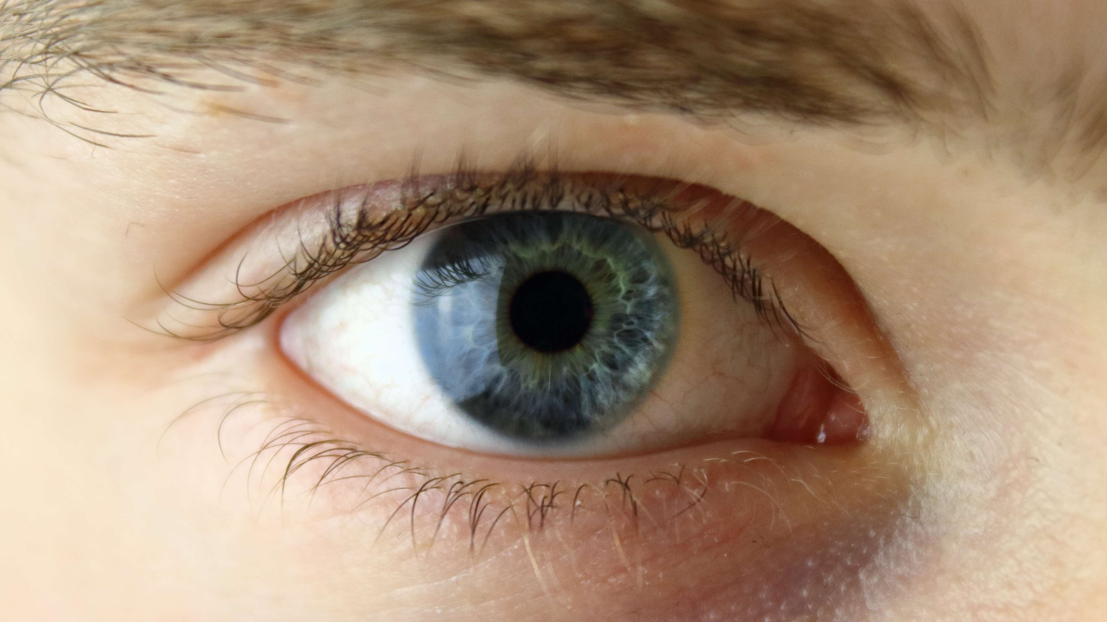 Close-up of a blue human eye HD Wallpaper