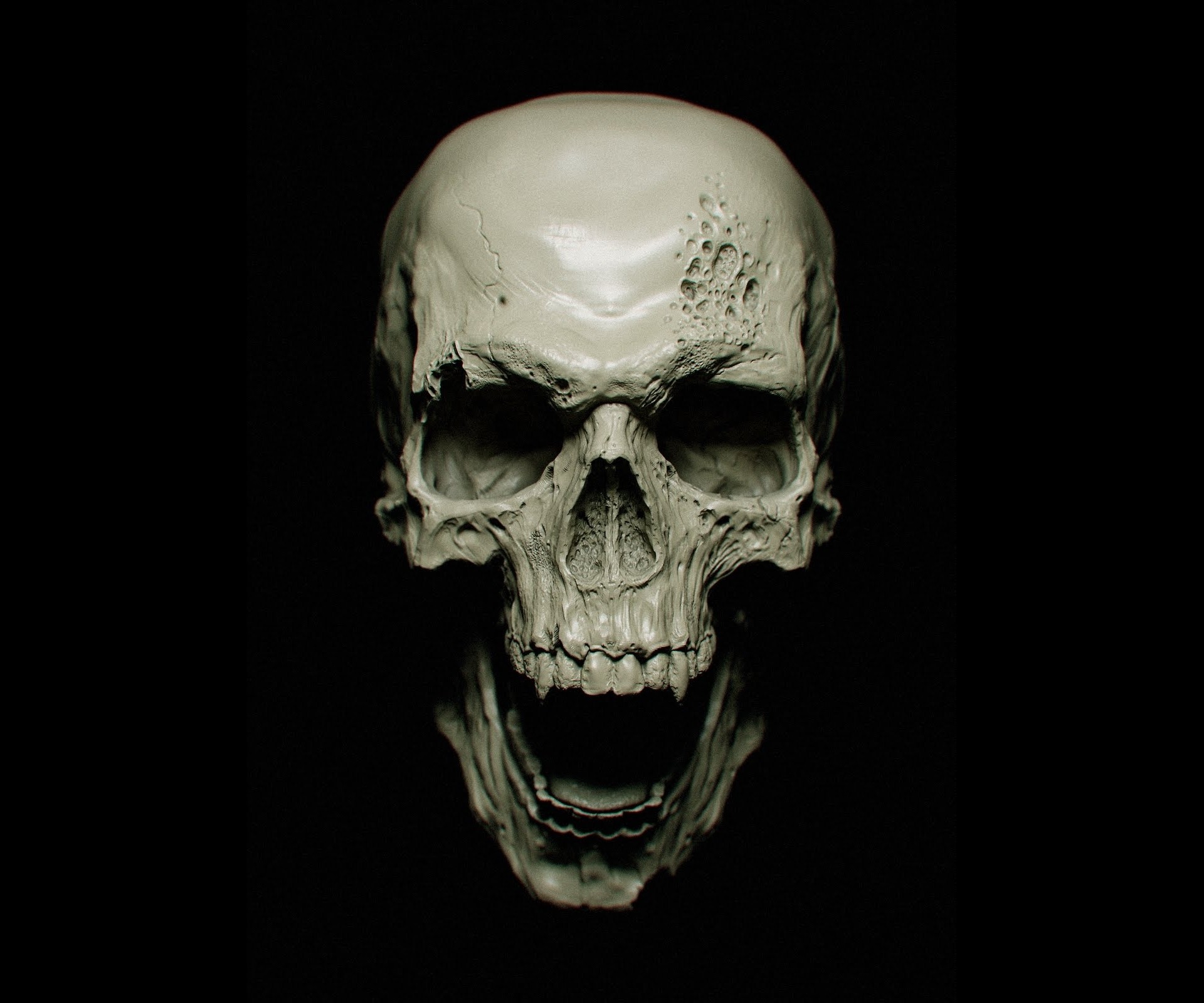 A detailed digital sculpture of a human skull HD Wallpaper