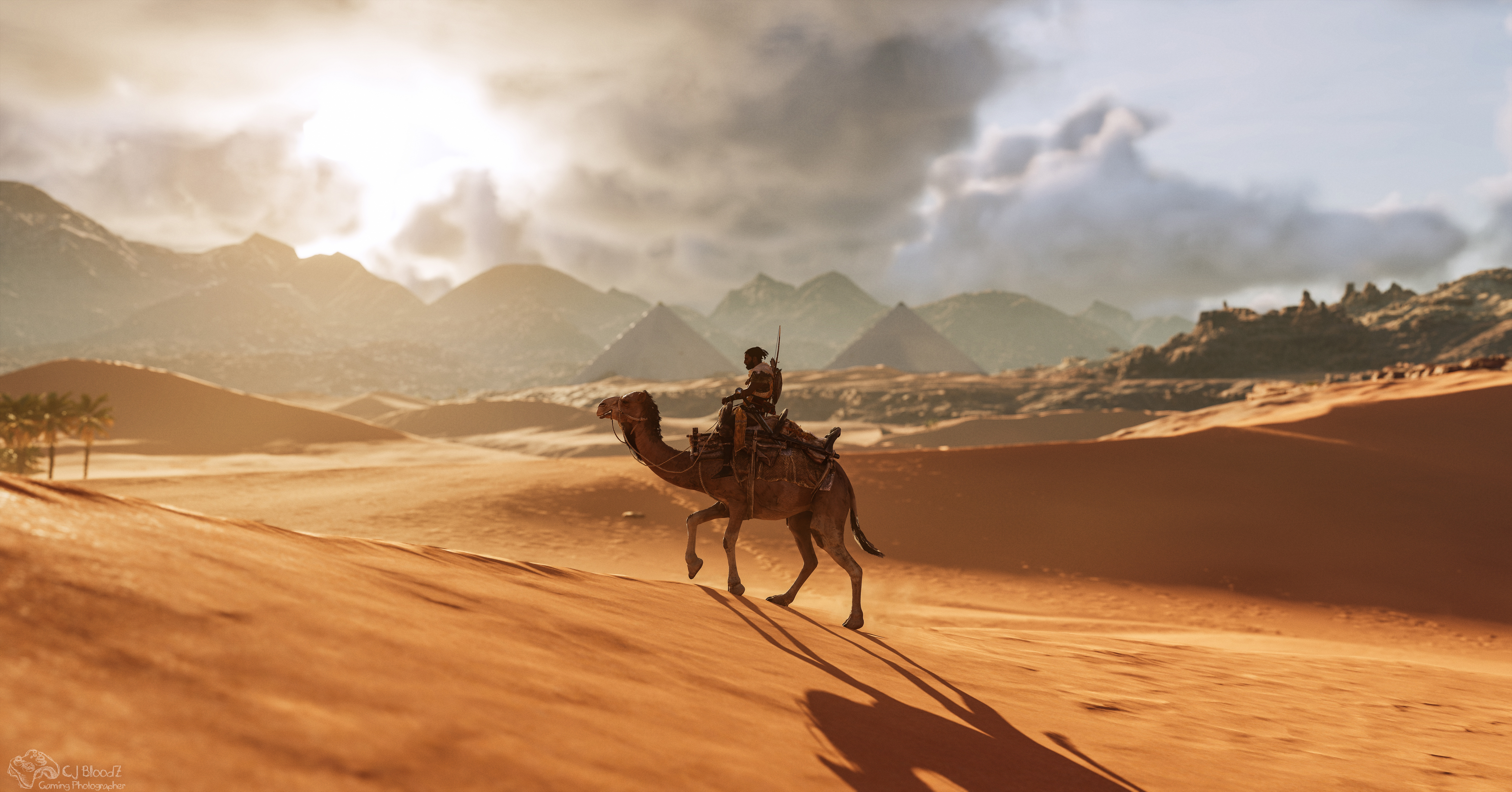 Assassin's Creed Origins: Warrior riding a camel in the desert HD Wallpaper