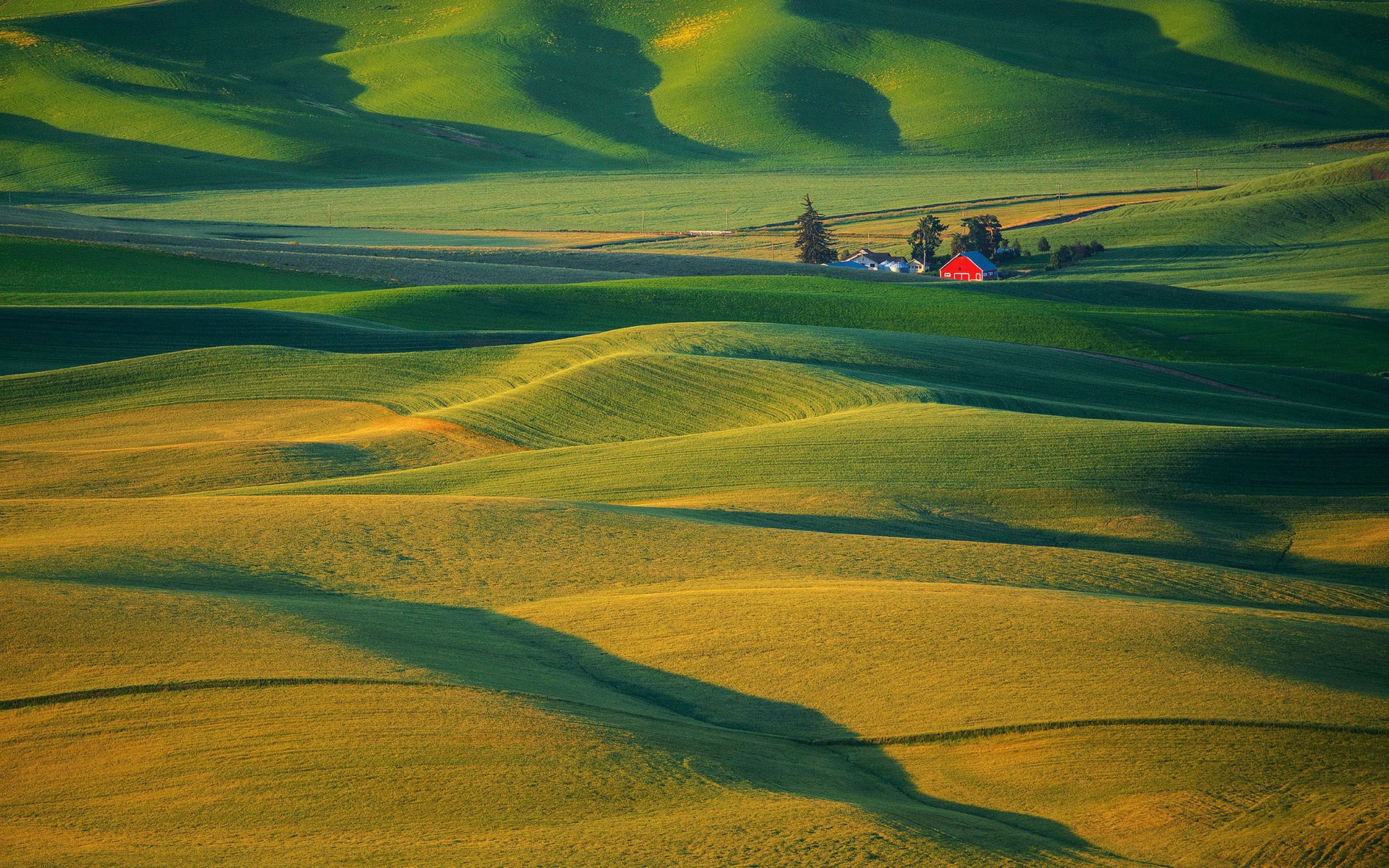 Rolling green hills with a red barn HD Wallpaper