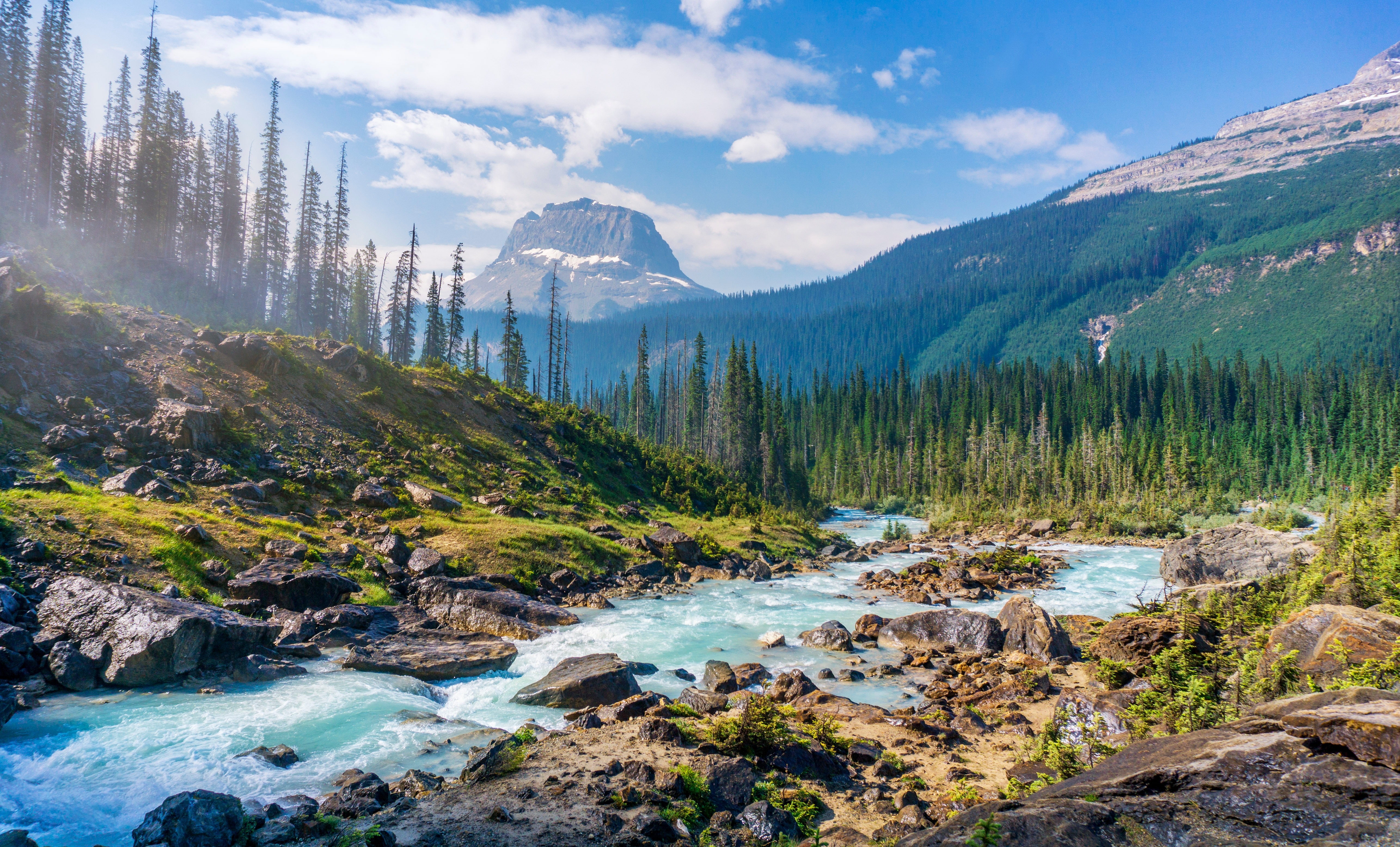 Turquoise river flowing through a rocky forest landscape with mountains HD Wallpaper