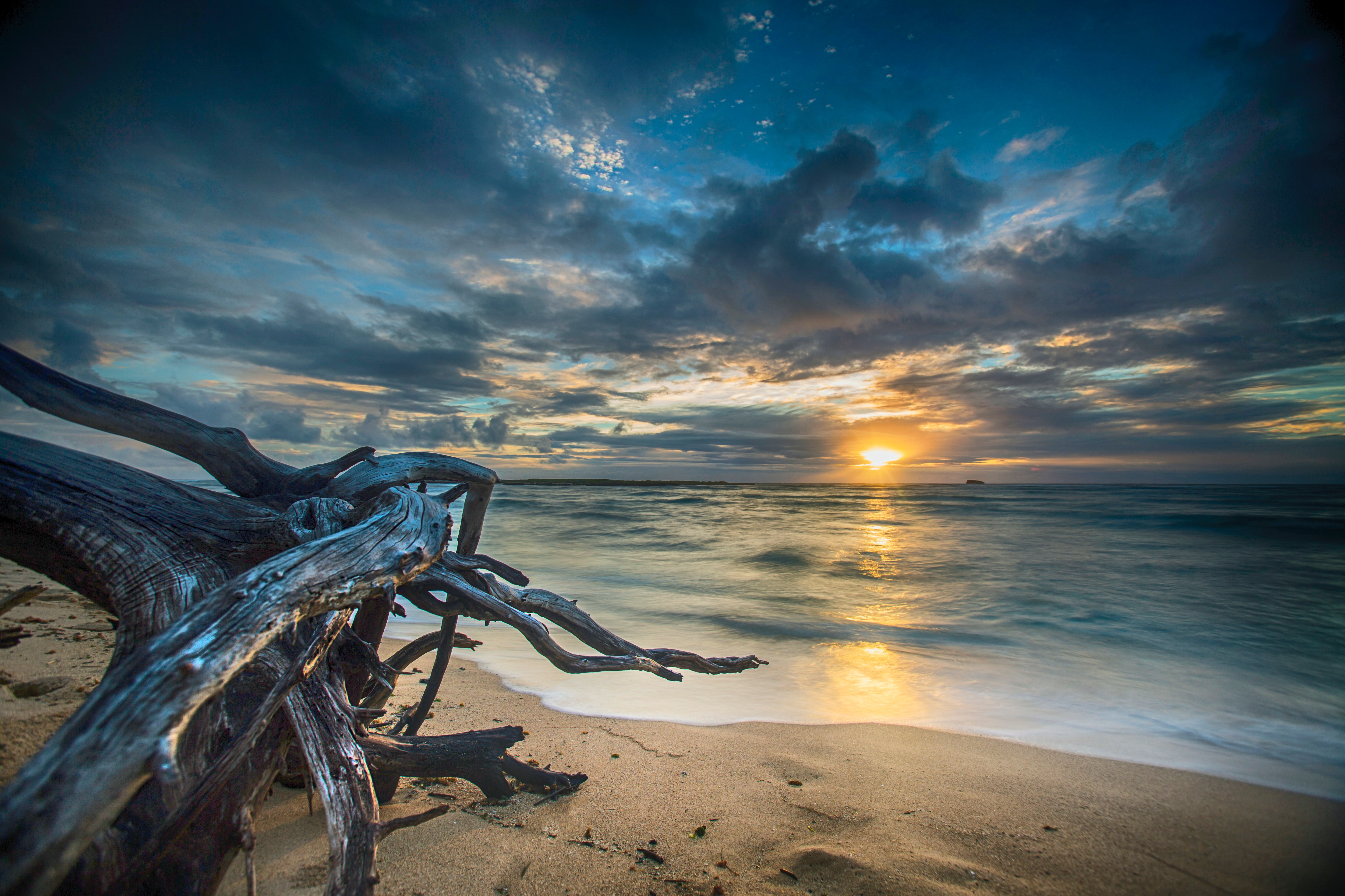 Driftwood on a beach at sunset HD Wallpaper