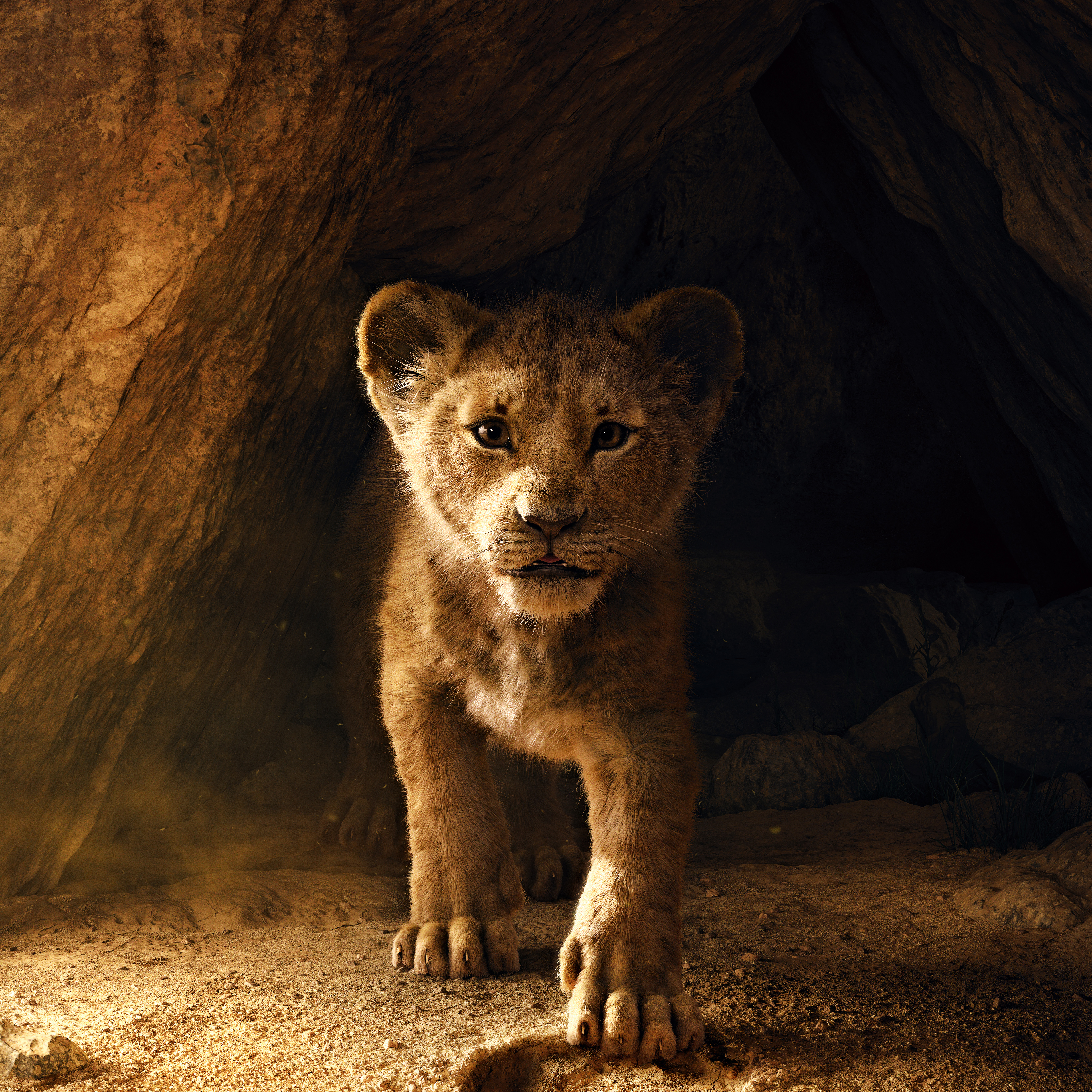 Simba from The Lion King 4K HD Wallpaper