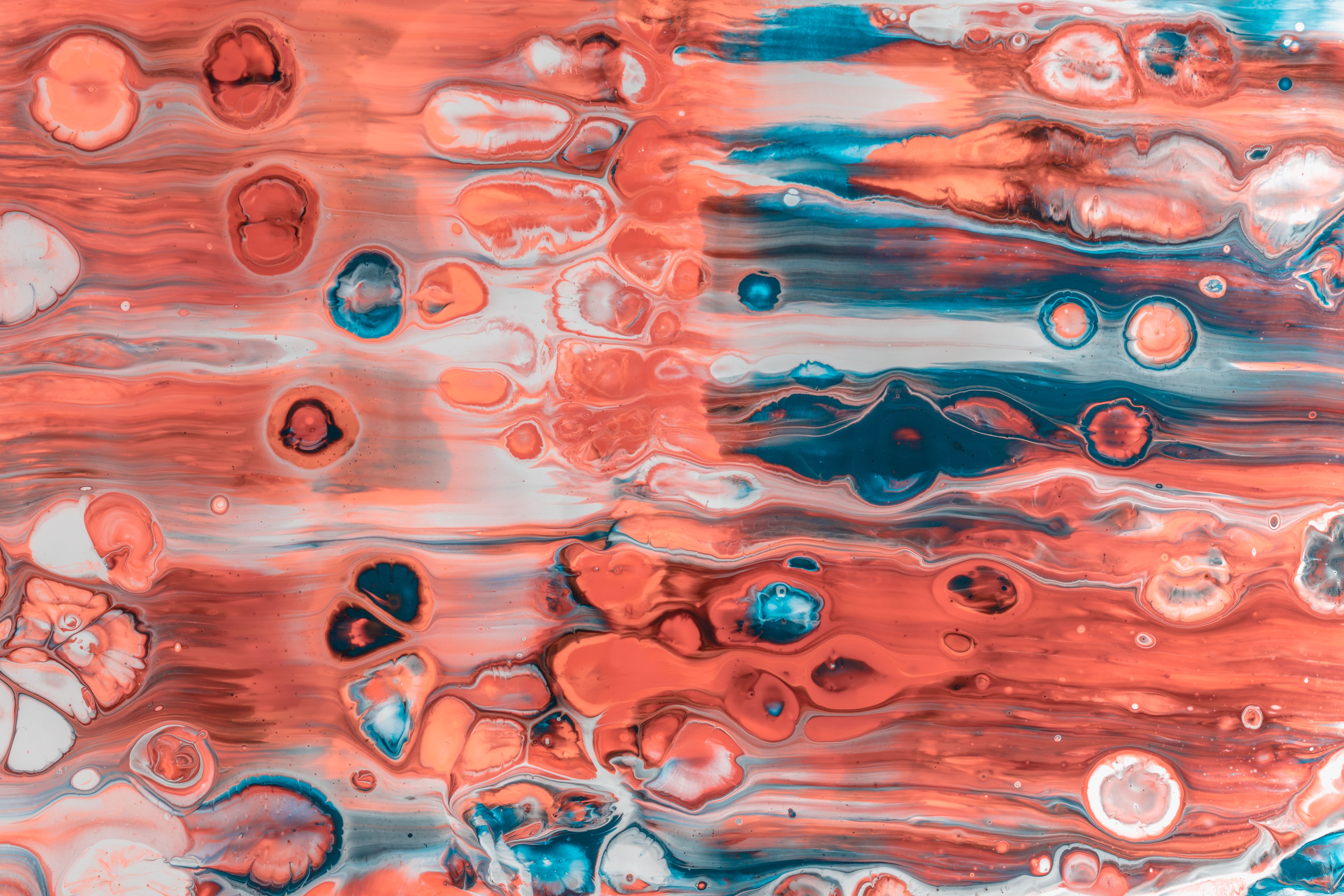 Abstract paint pour with red, blue, and white colors HD Wallpaper