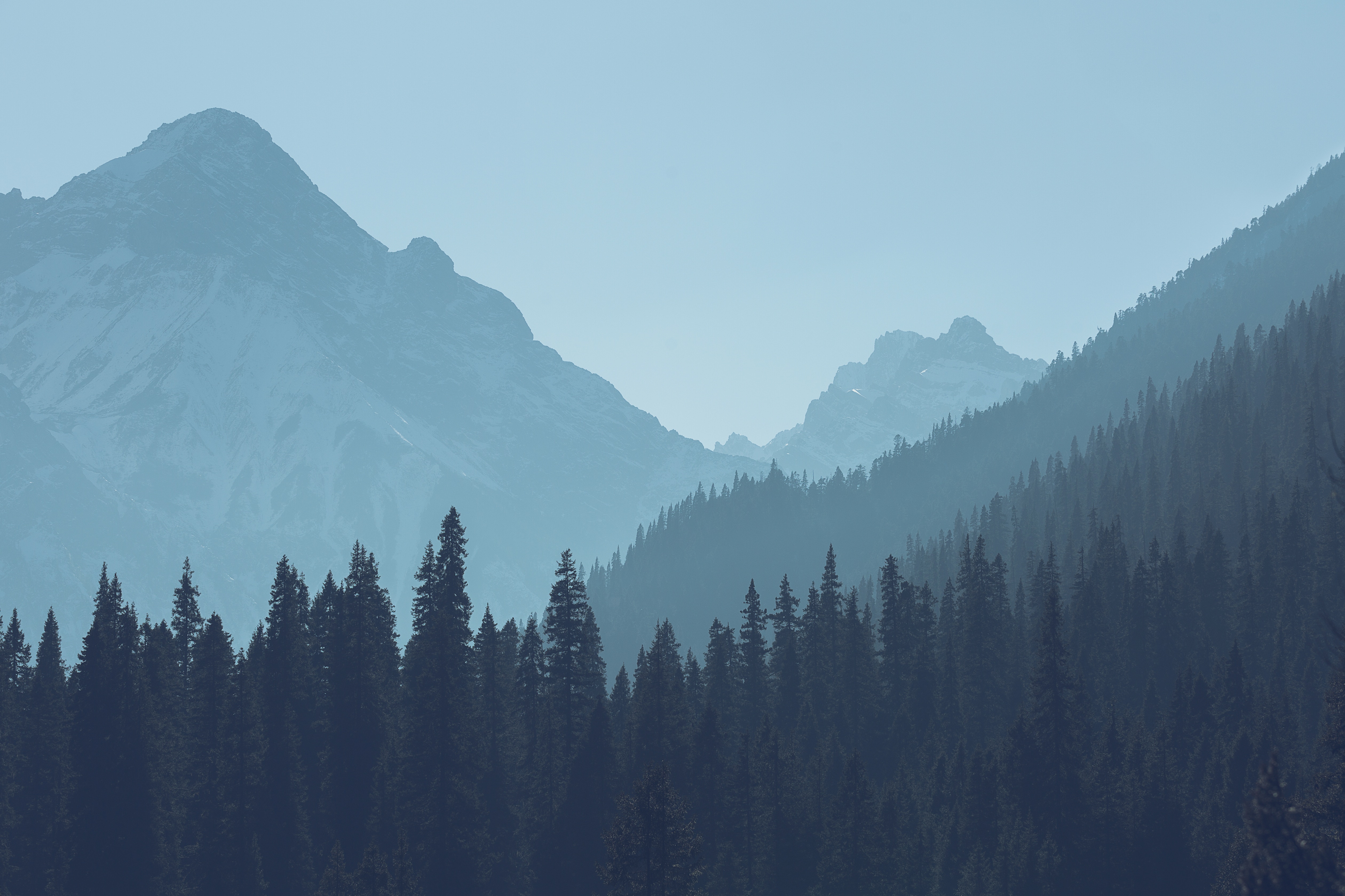 Misty Mountains and Pine Forest Landscape HD Wallpaper