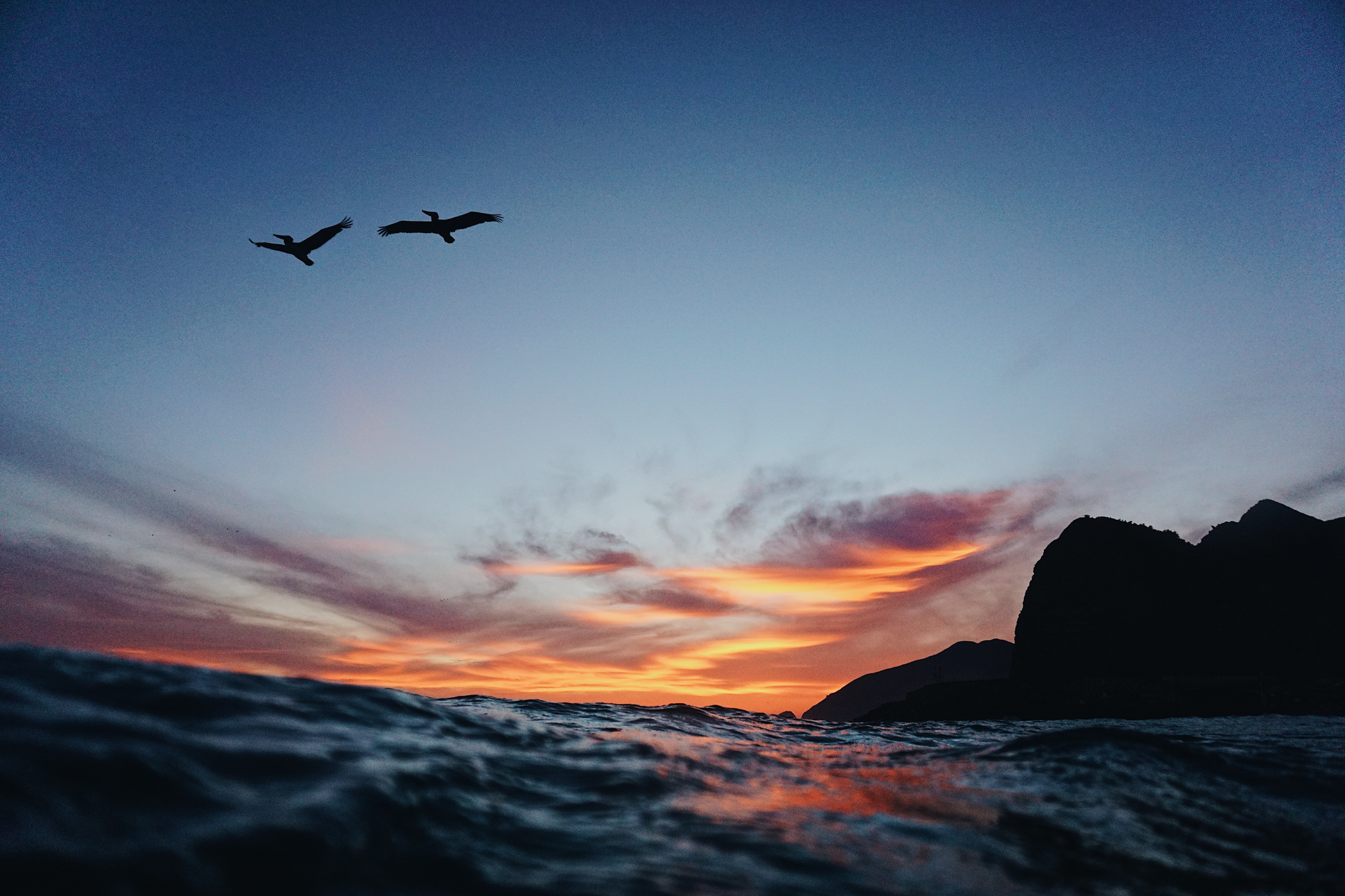Two birds flying over the ocean at sunset HD Wallpaper
