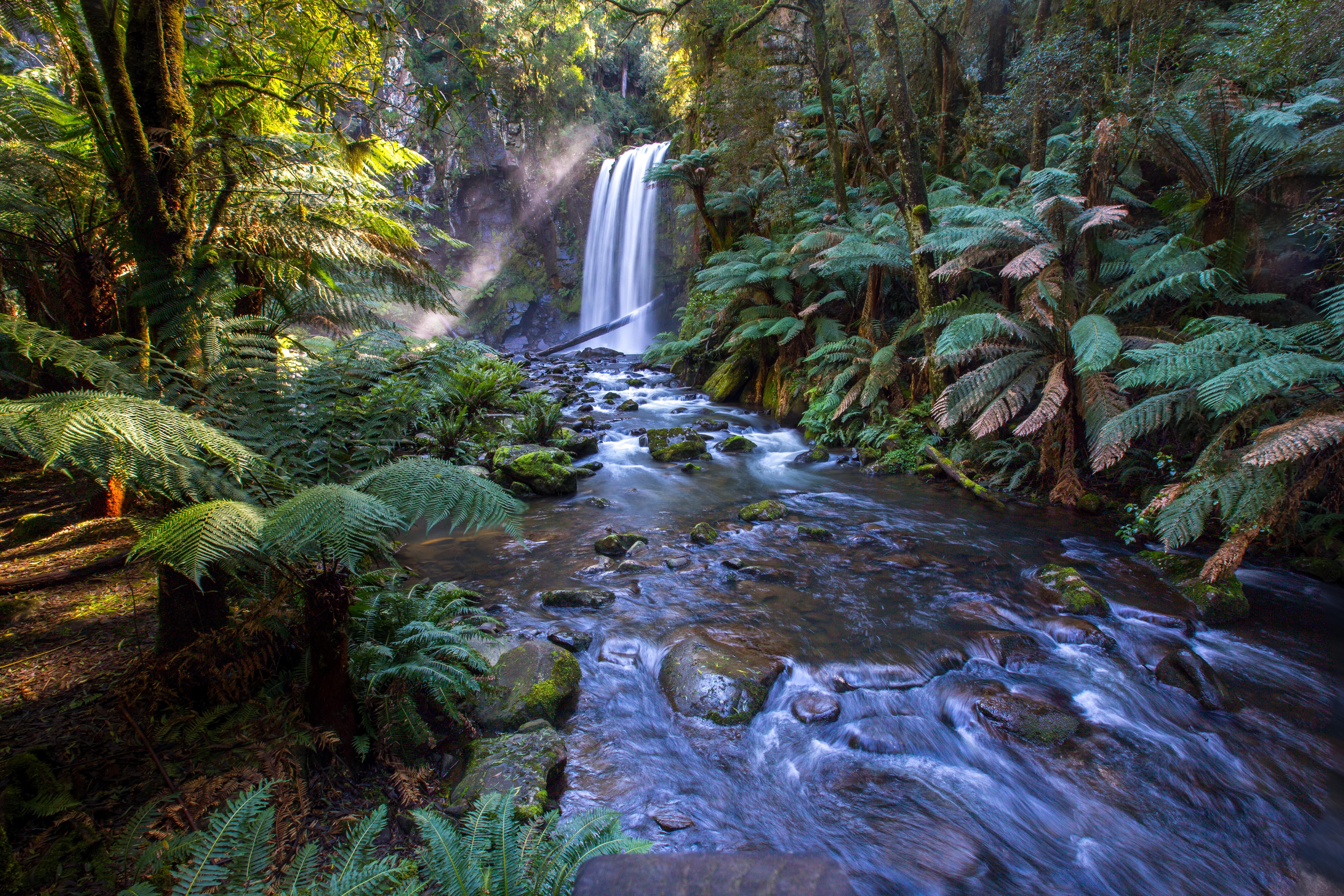 Waterfall flowing through a sunlit rainforest with ferns HD Wallpaper