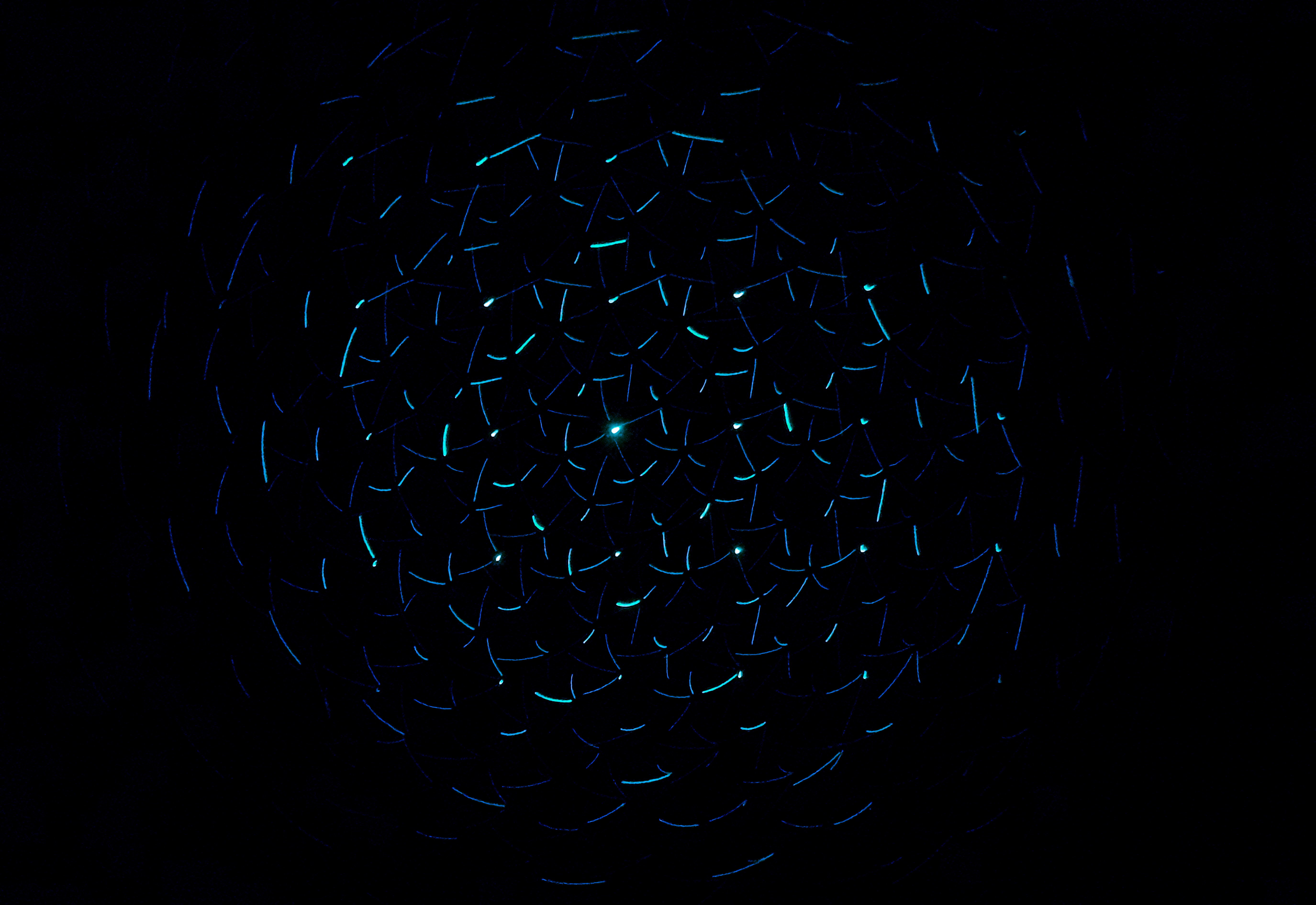 Abstract spiral of blue and green light lines on black background HD Wallpaper