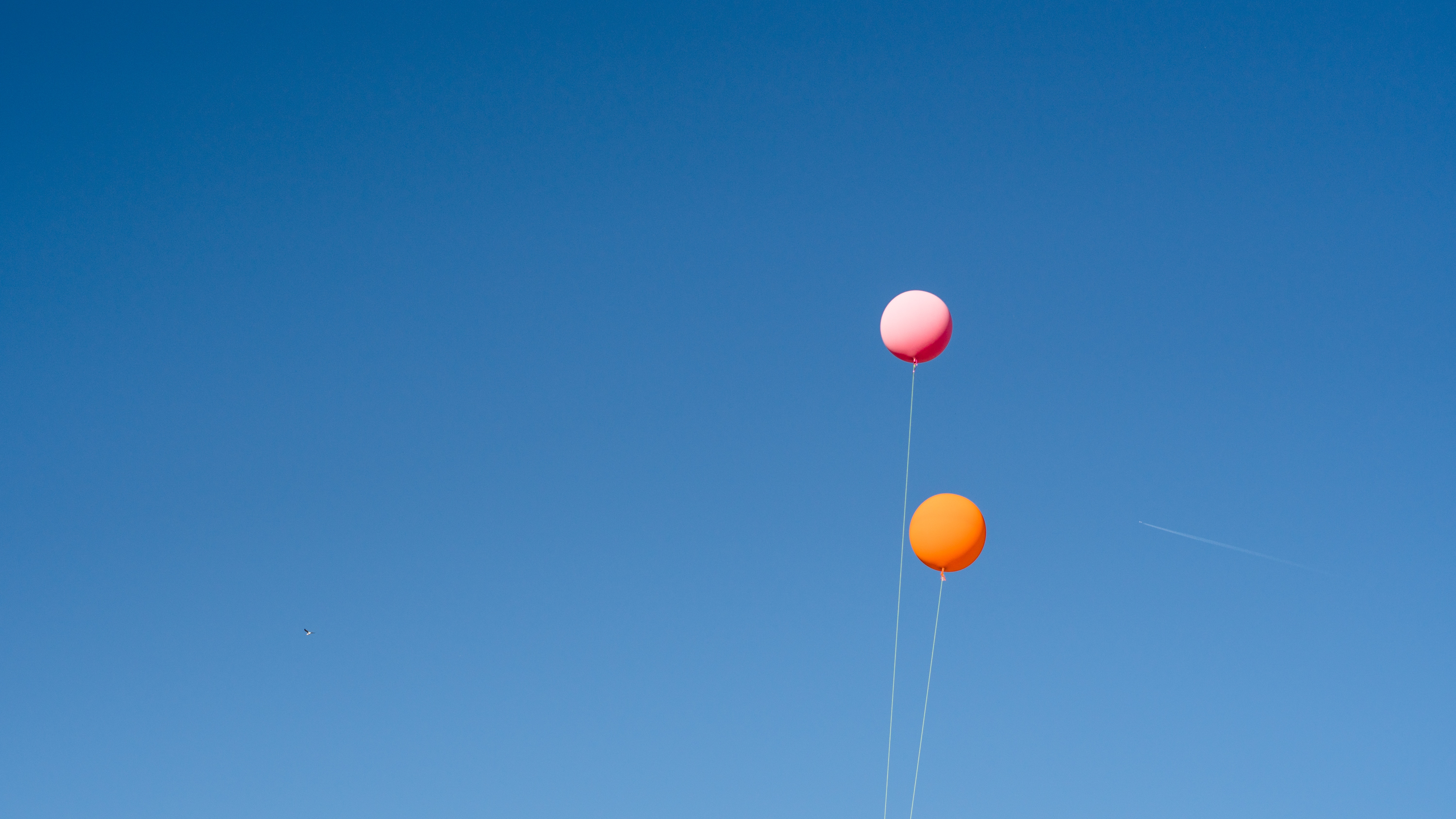 Two balloons floating in a clear blue sky HD Wallpaper
