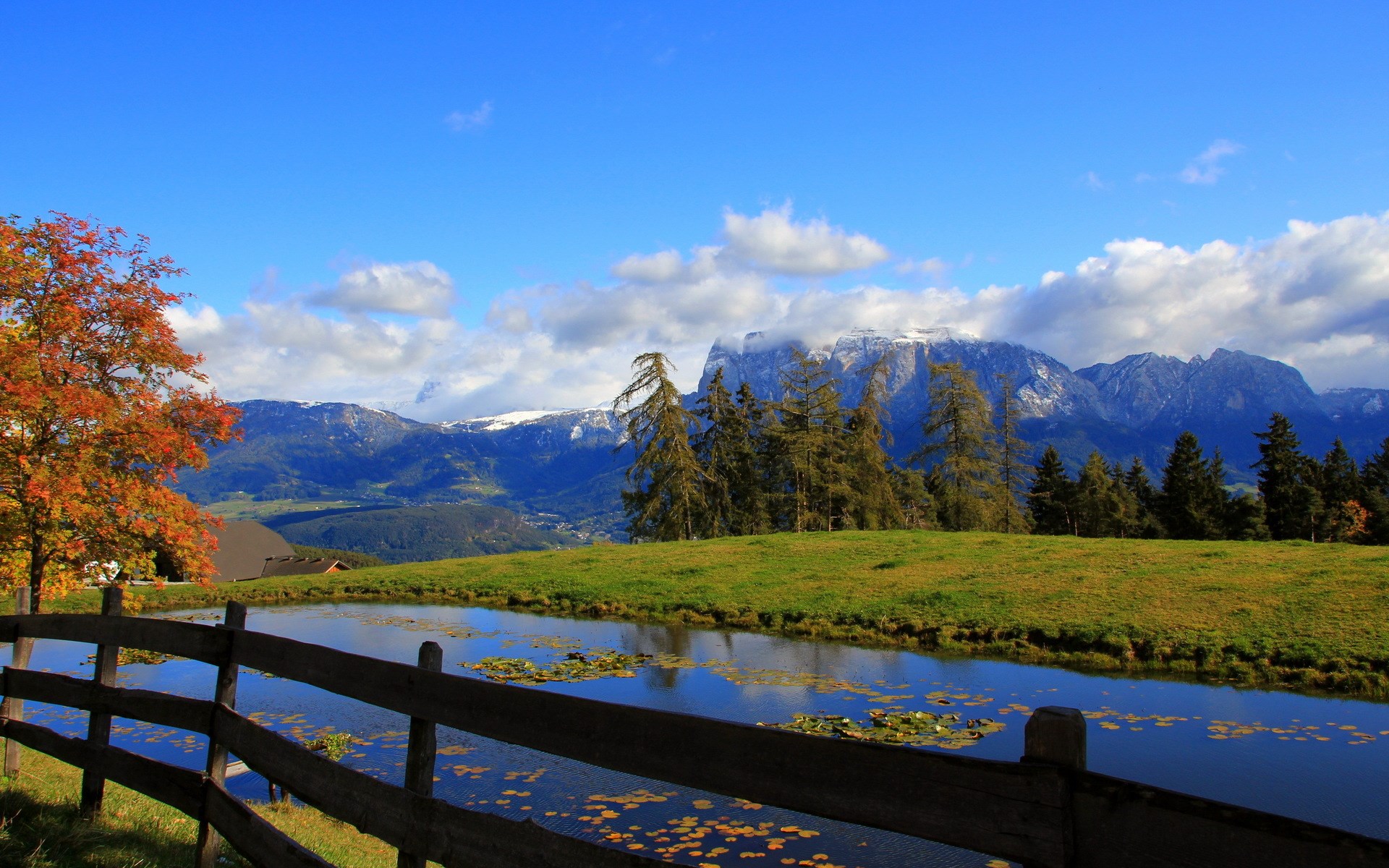 Autumn tree and pond with mountains in the background HD Wallpaper