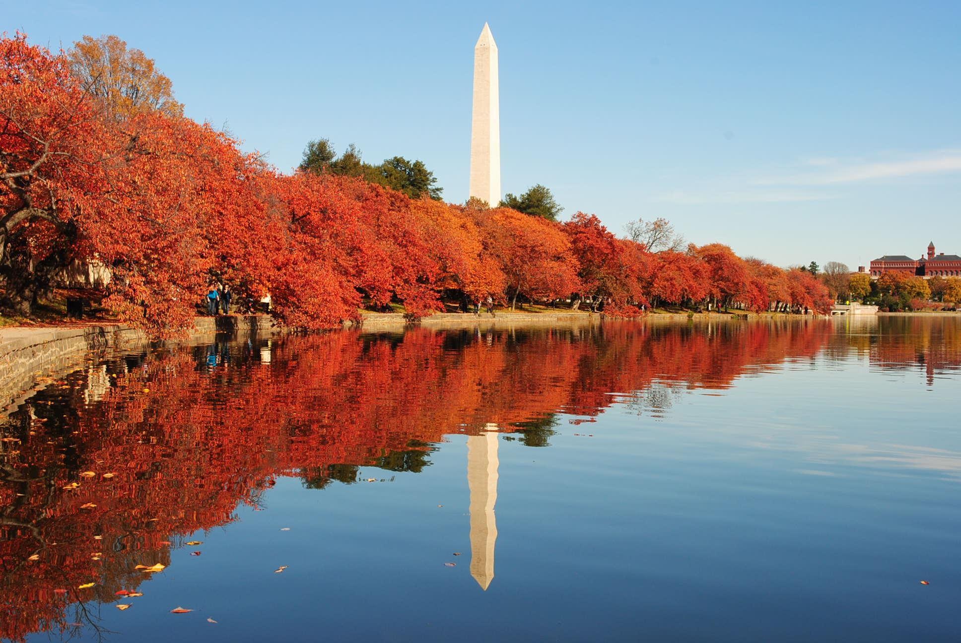 Washington Monument reflected in water during fall HD Wallpaper