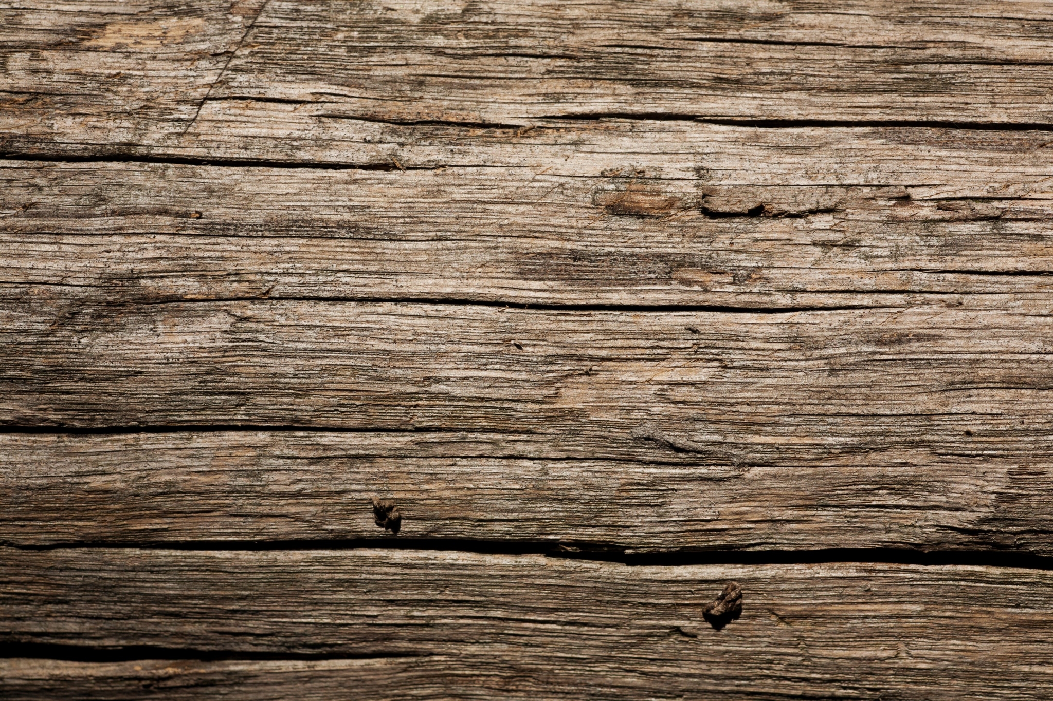 Close-up of weathered wood grain HD Wallpaper