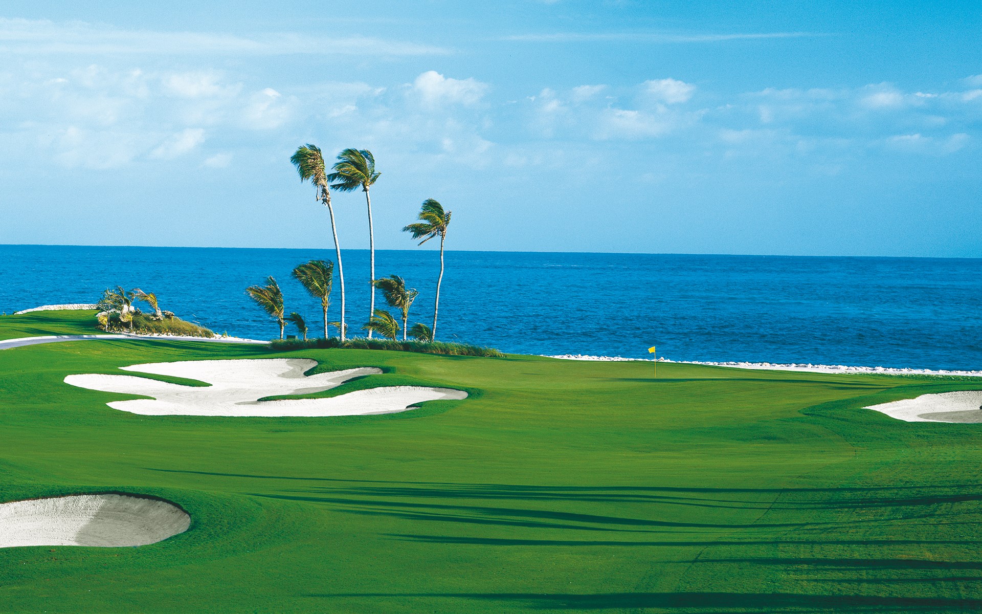 Golf course with palm trees and ocean HD Wallpaper