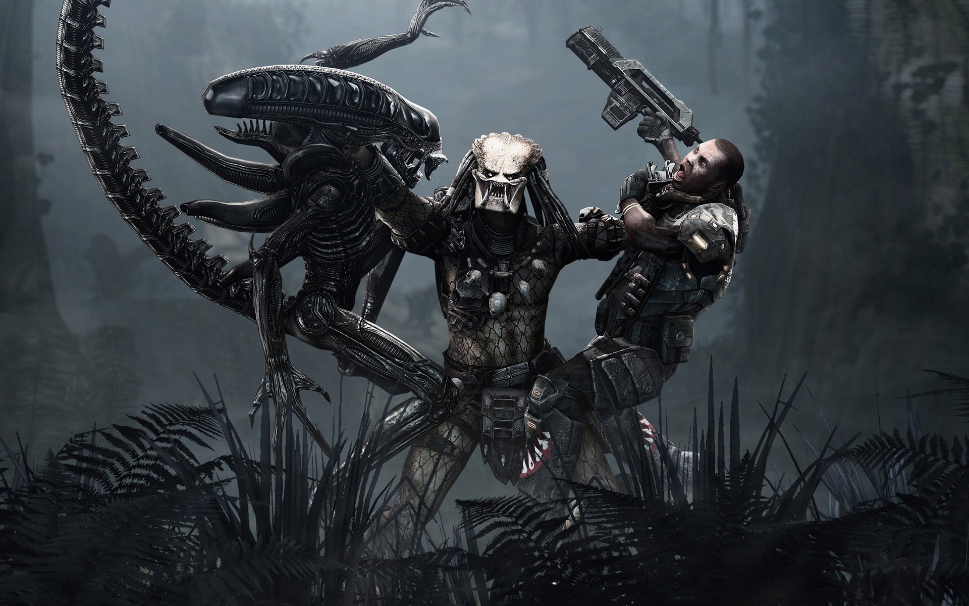 Alien vs Predator vs Marine HD Wallpaper