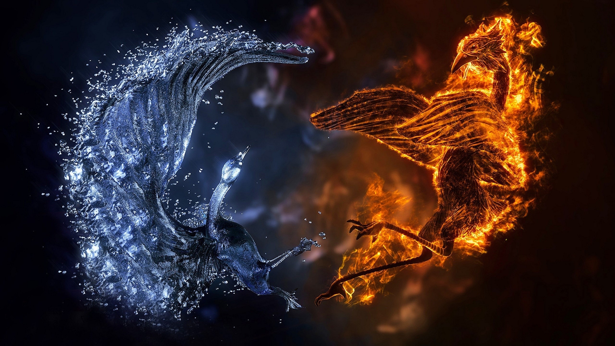 Phoenix of fire and water clashing HD Wallpaper