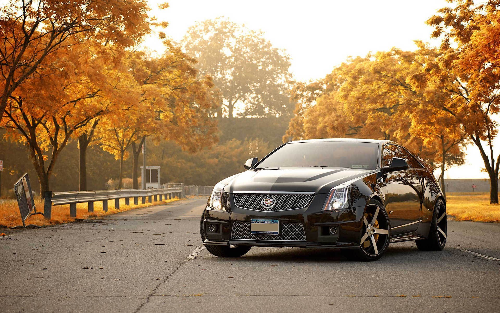 Black Cadillac CTS Coupe on a Road in Autumn HD Wallpaper
