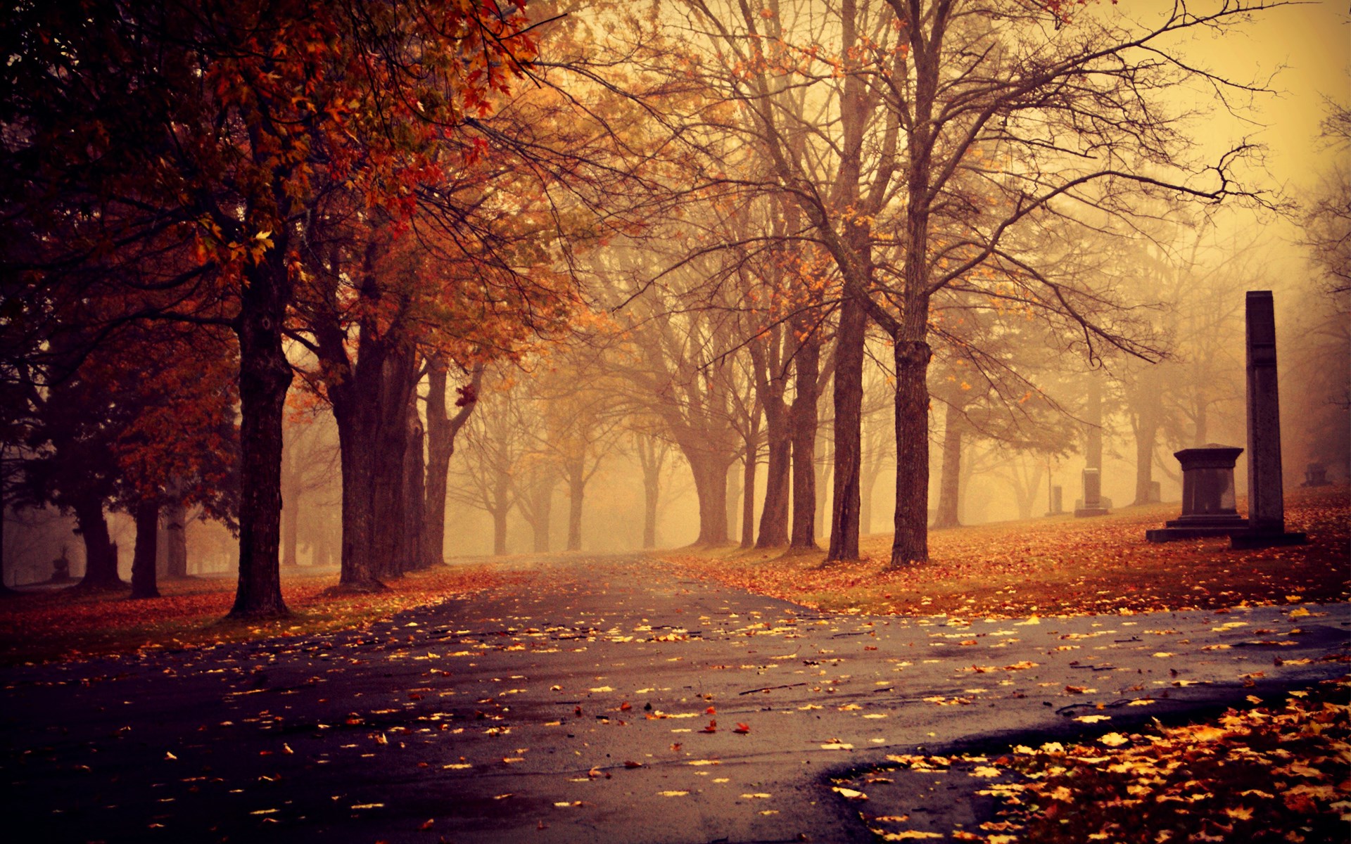 Autumn cemetery path with fallen leaves and tombstones HD Wallpaper