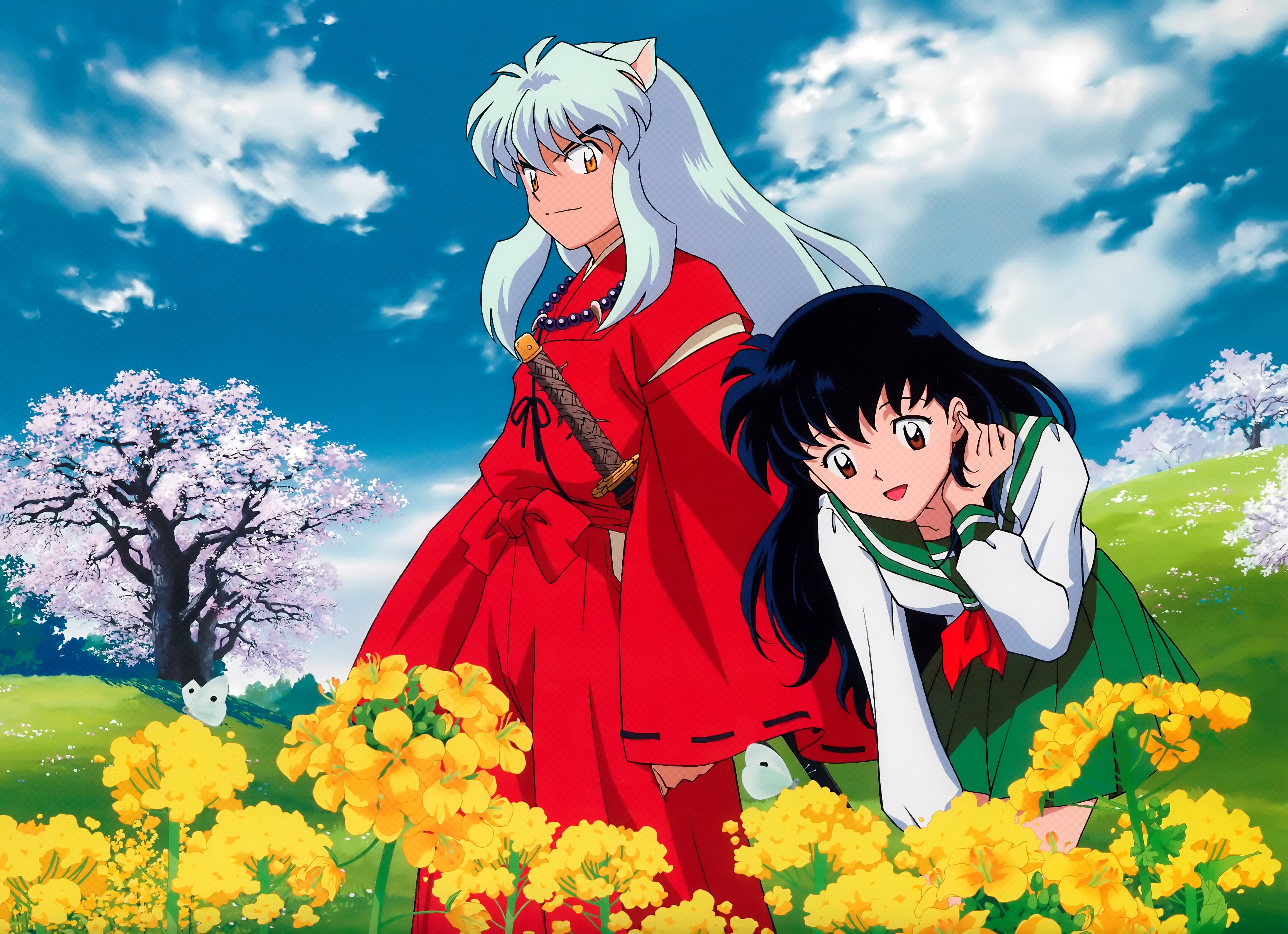 Inuyasha and Kagome in a field of flowers HD Wallpaper