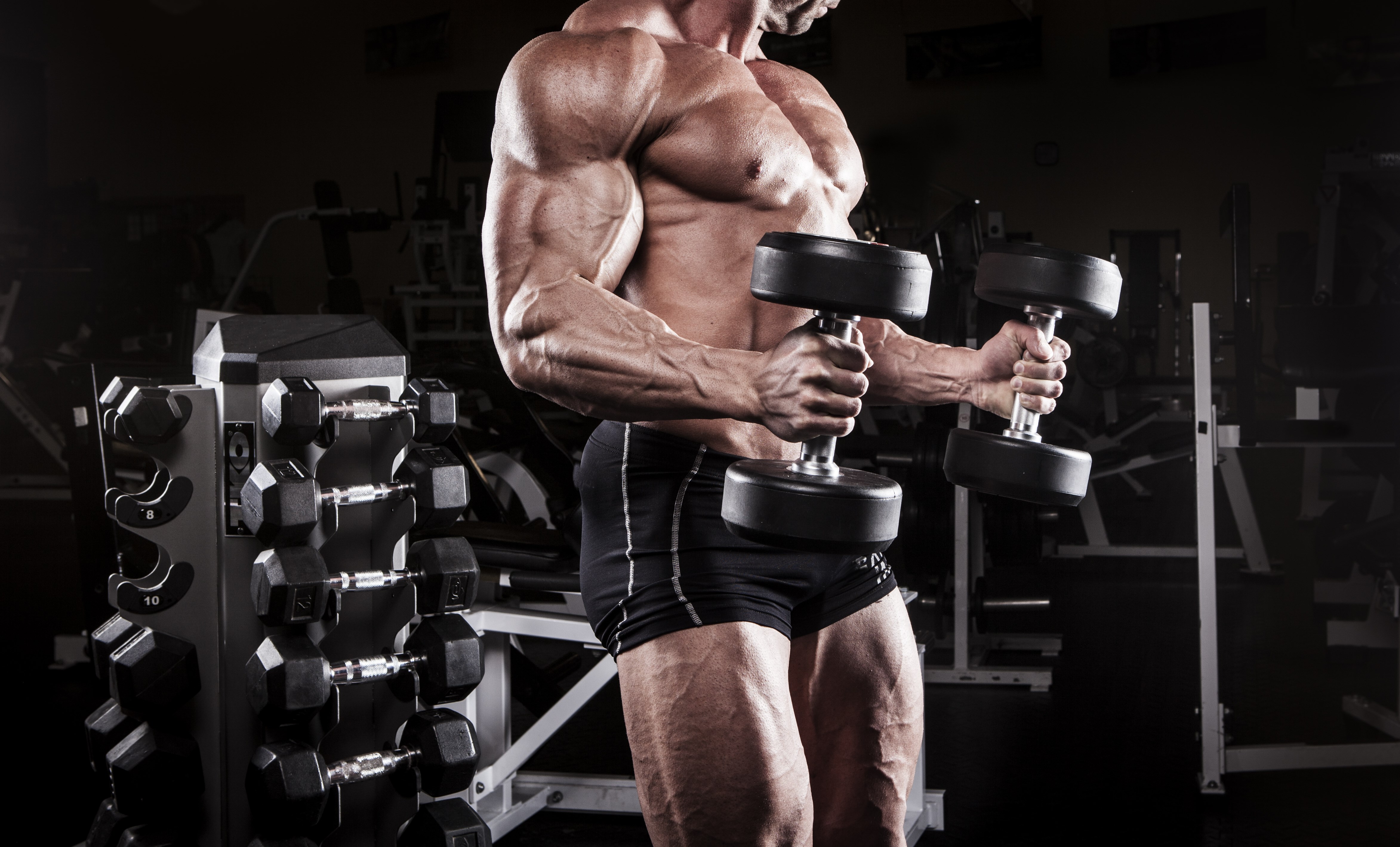 Bodybuilder lifting dumbbells in a gym HD Wallpaper
