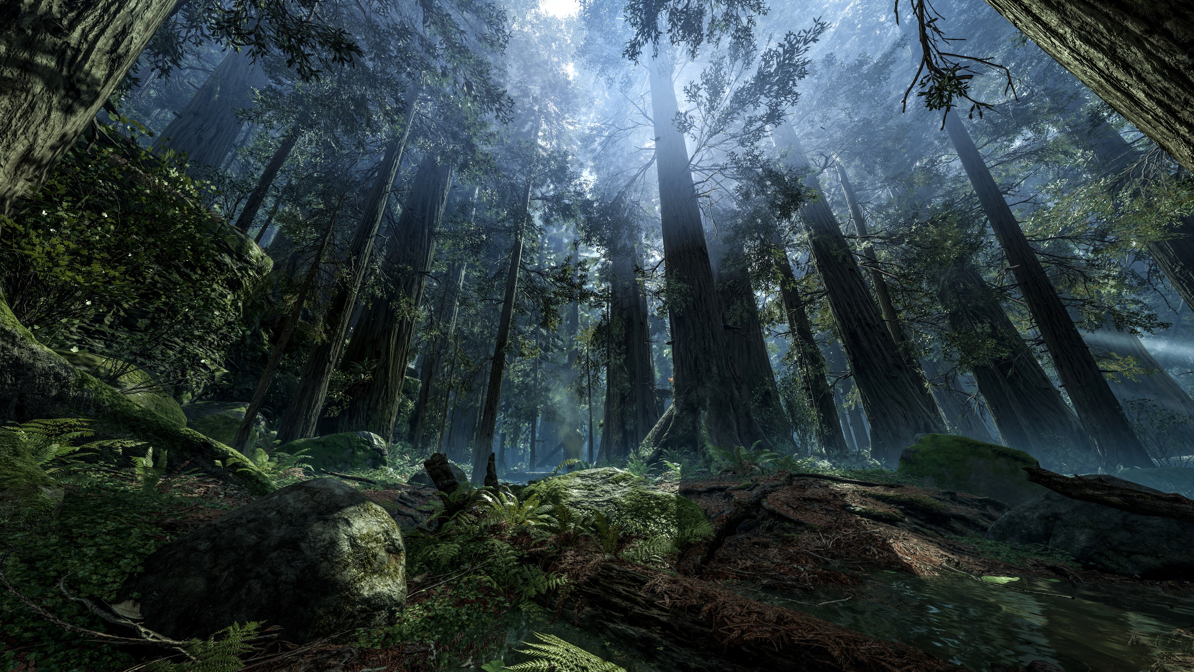 Star Wars Battlefront 2015 forest scene HD Wallpaper