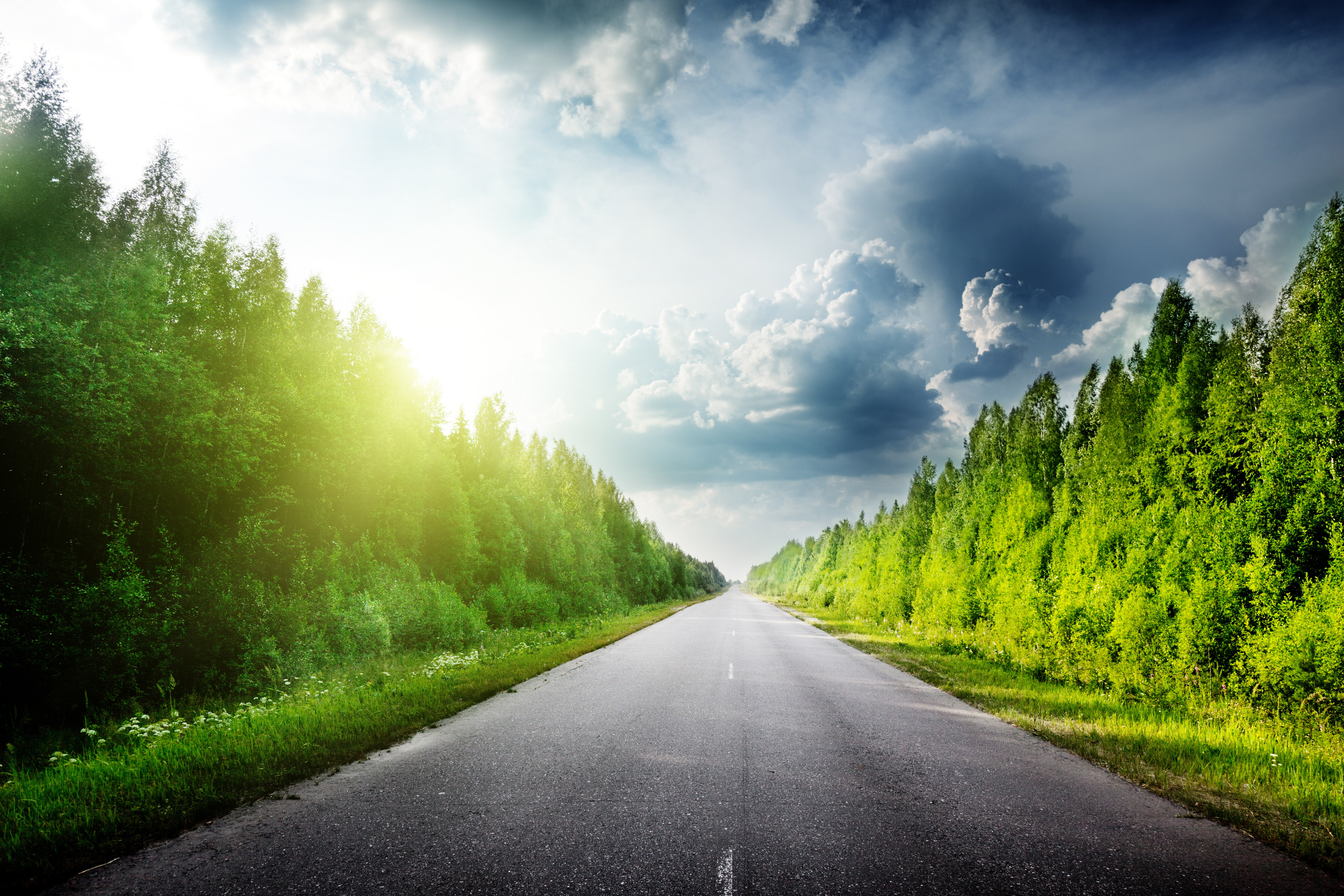 Road through a forest with sun and clouds HD Wallpaper