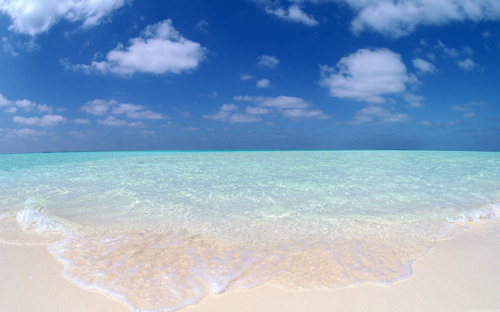 Tropical Beach with Clear Turquoise Water and Blue Sky HD Wallpaper