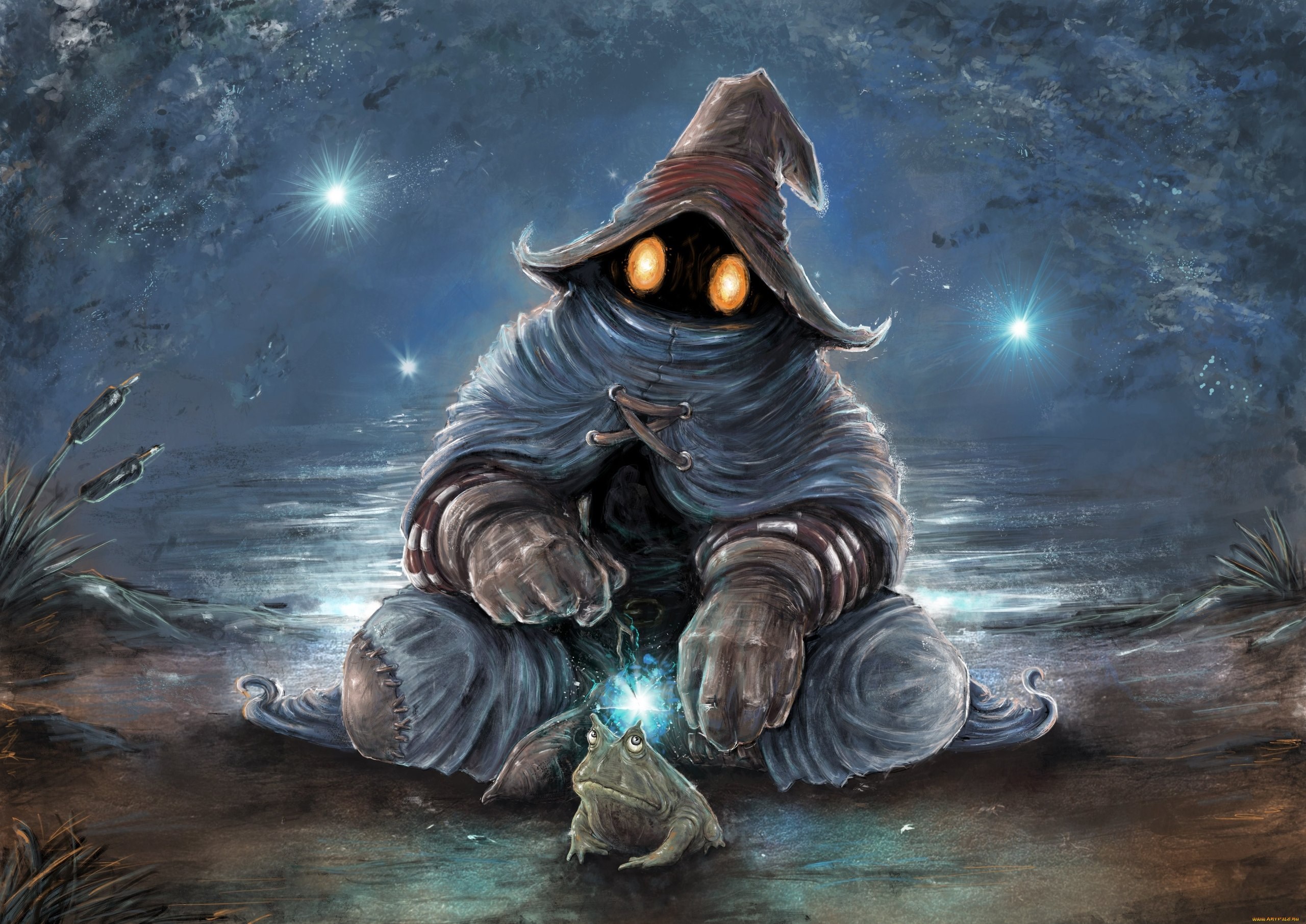 Black Mage and frog by a lake at night HD Wallpaper
