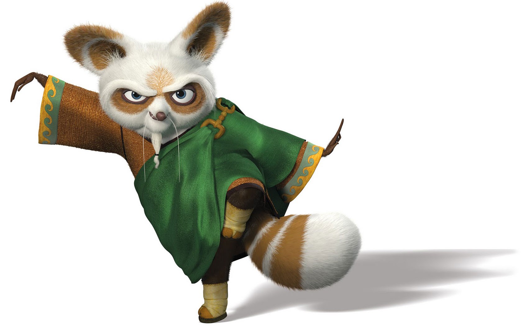 Master Shifu from Kung Fu Panda HD Wallpaper