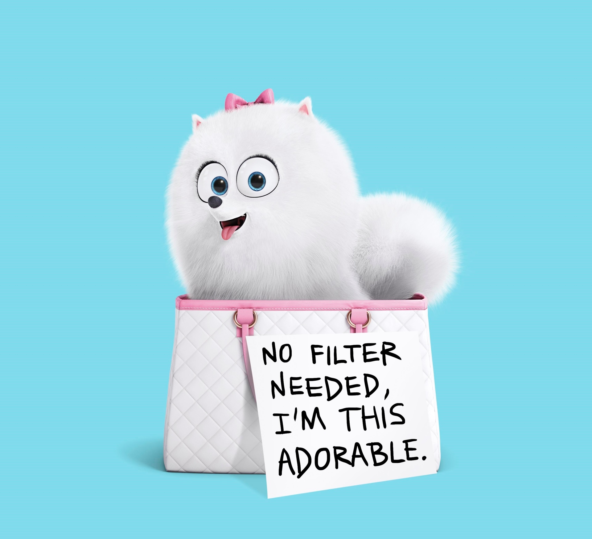 Gidget from The Secret Life of Pets with a sign HD Wallpaper