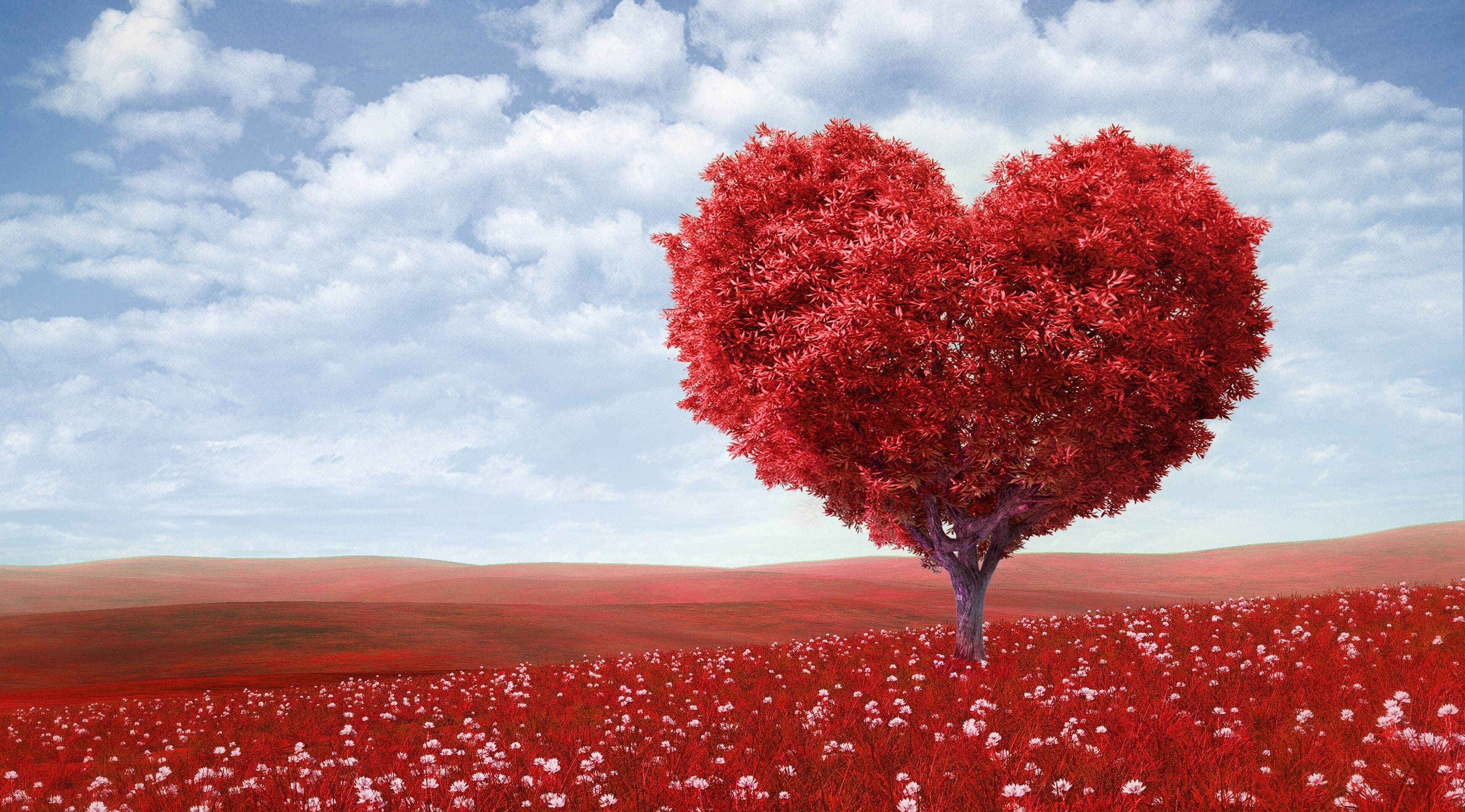 Heart-shaped tree in a field of red flowers HD Wallpaper