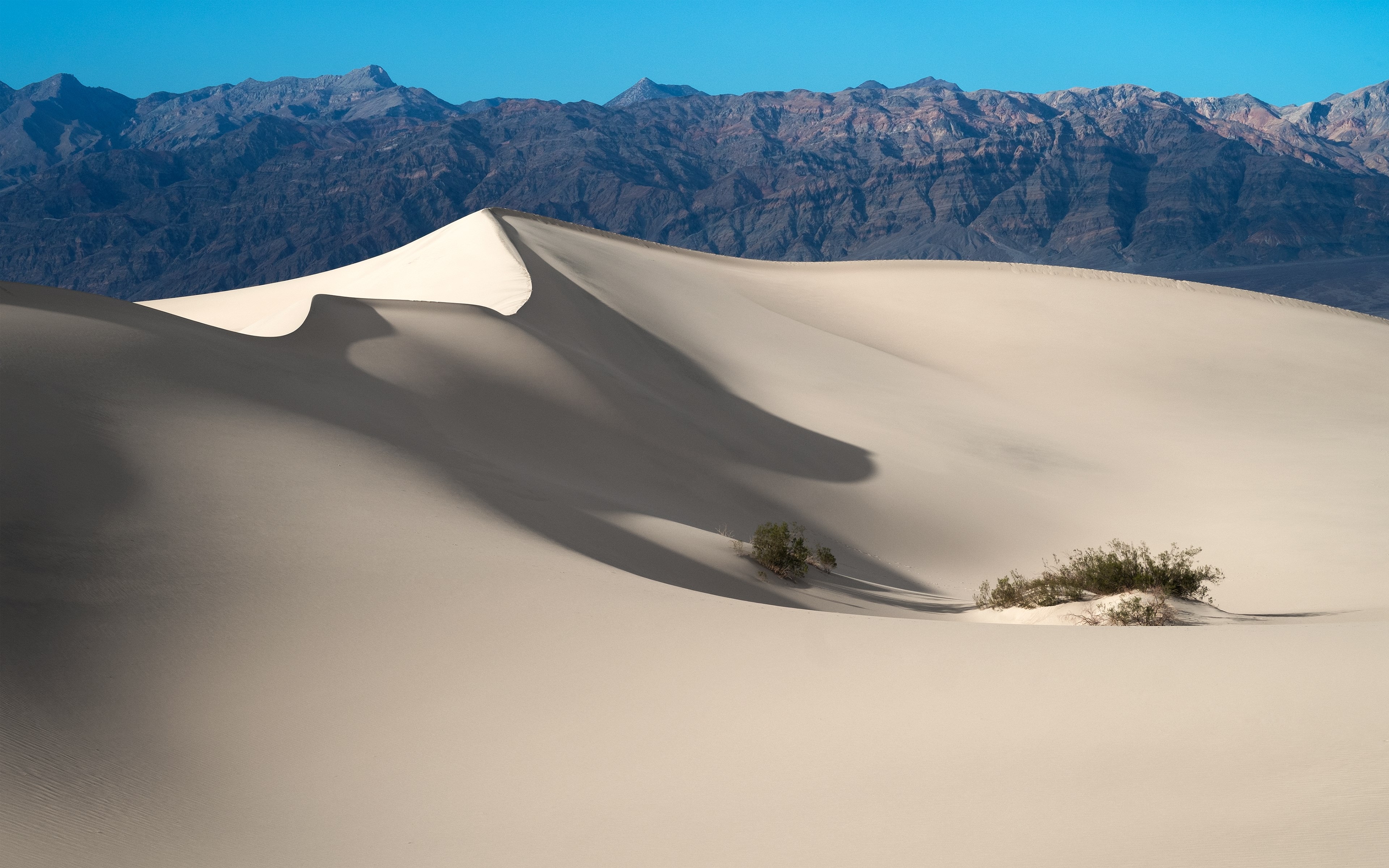 Sand dunes with mountains in the background HD Wallpaper