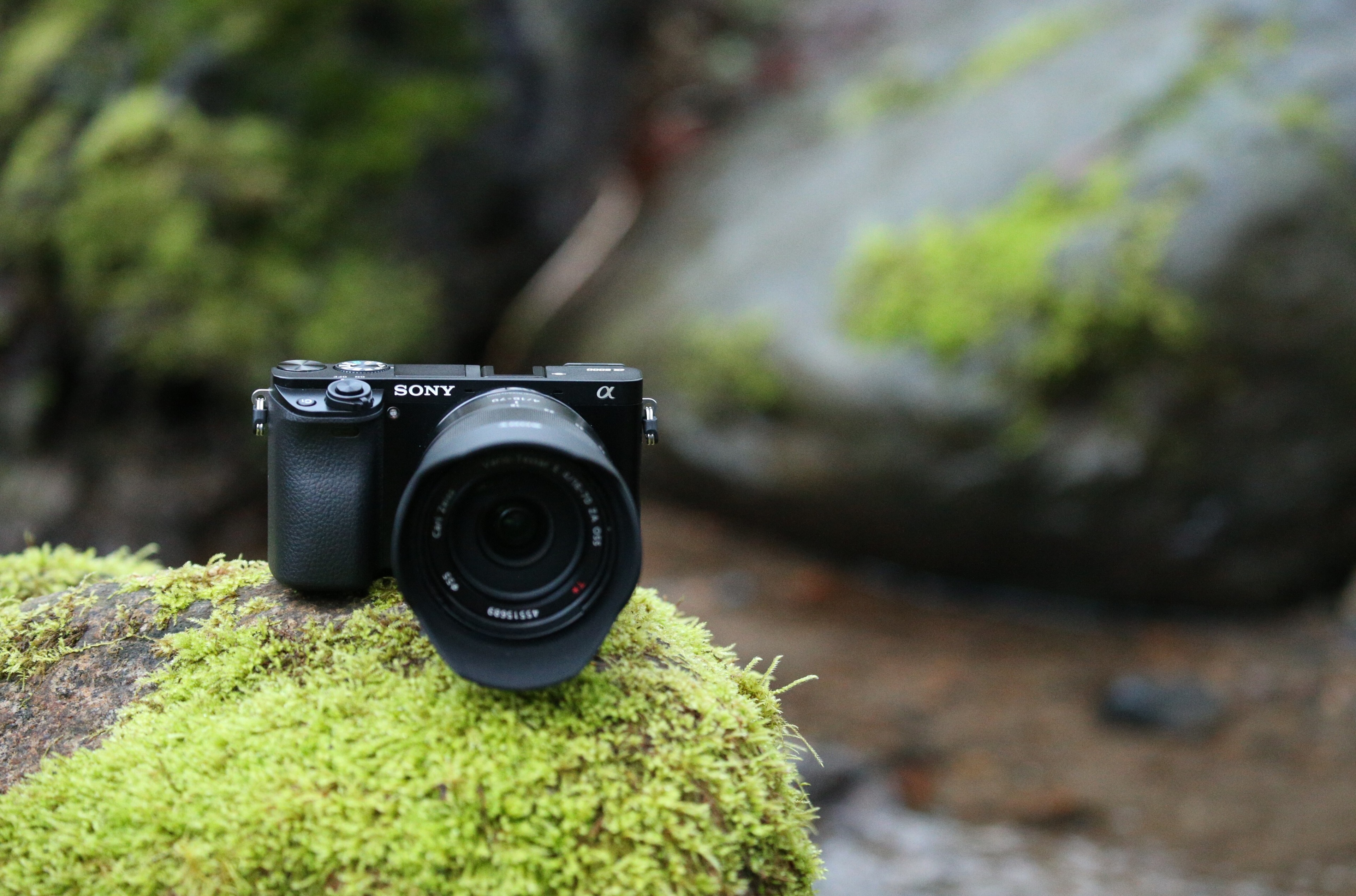 Sony Alpha a6000 camera on mossy rock HD Wallpaper