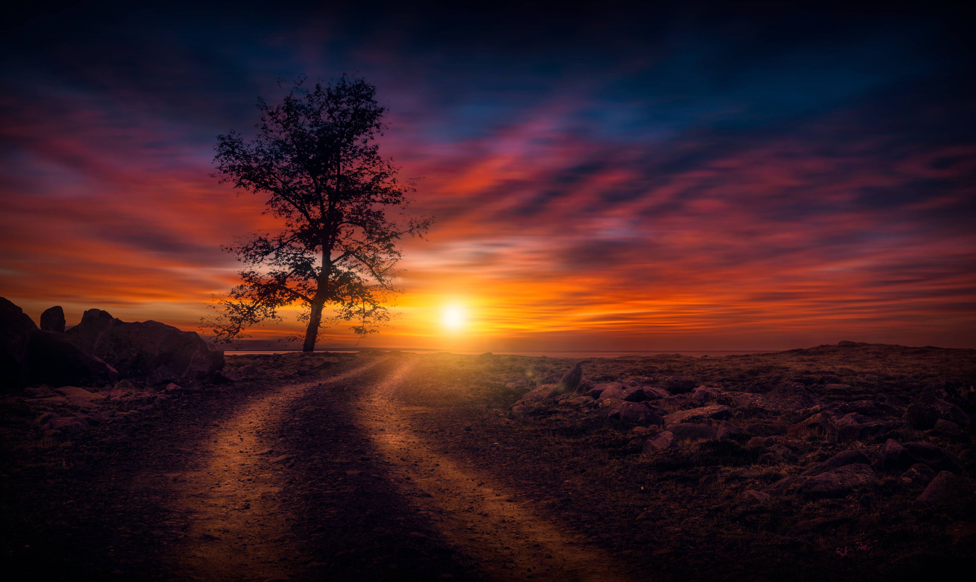 4K Sunset Over Winding Dirt Road and Lone Tree HD Wallpaper