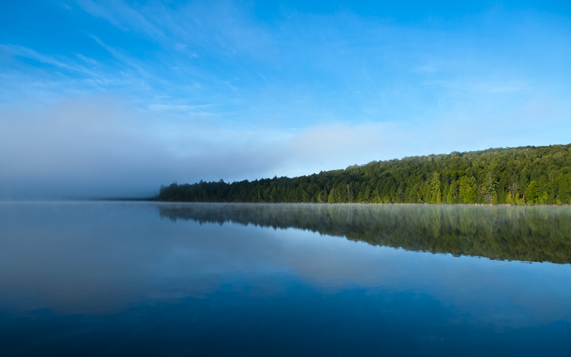 Misty lake with forest reflection at sunrise HD Wallpaper